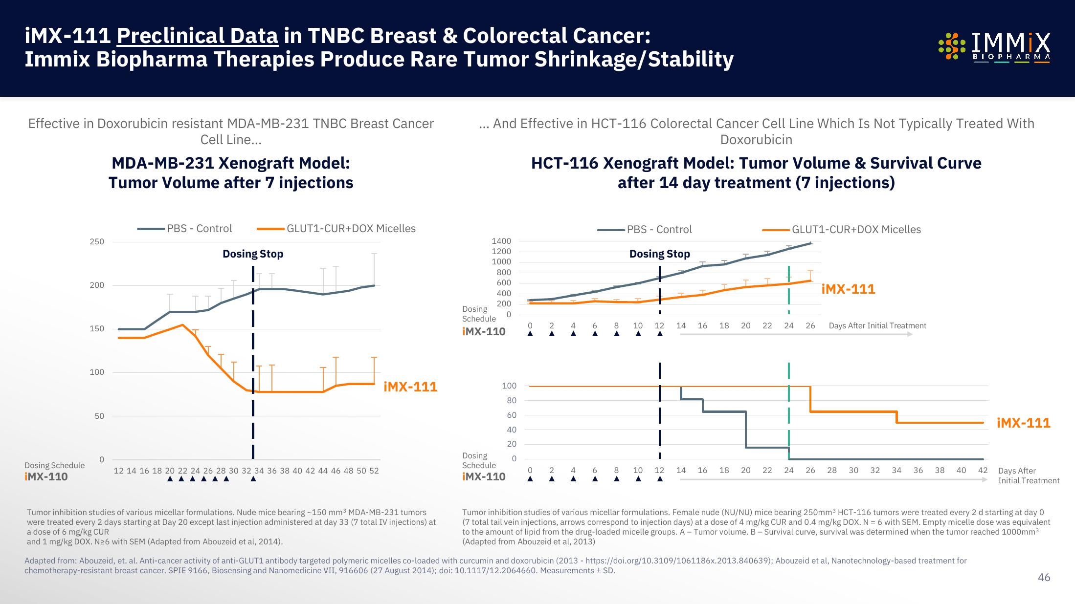 Immix Biopharma Investor Presentation Deck slide image #46