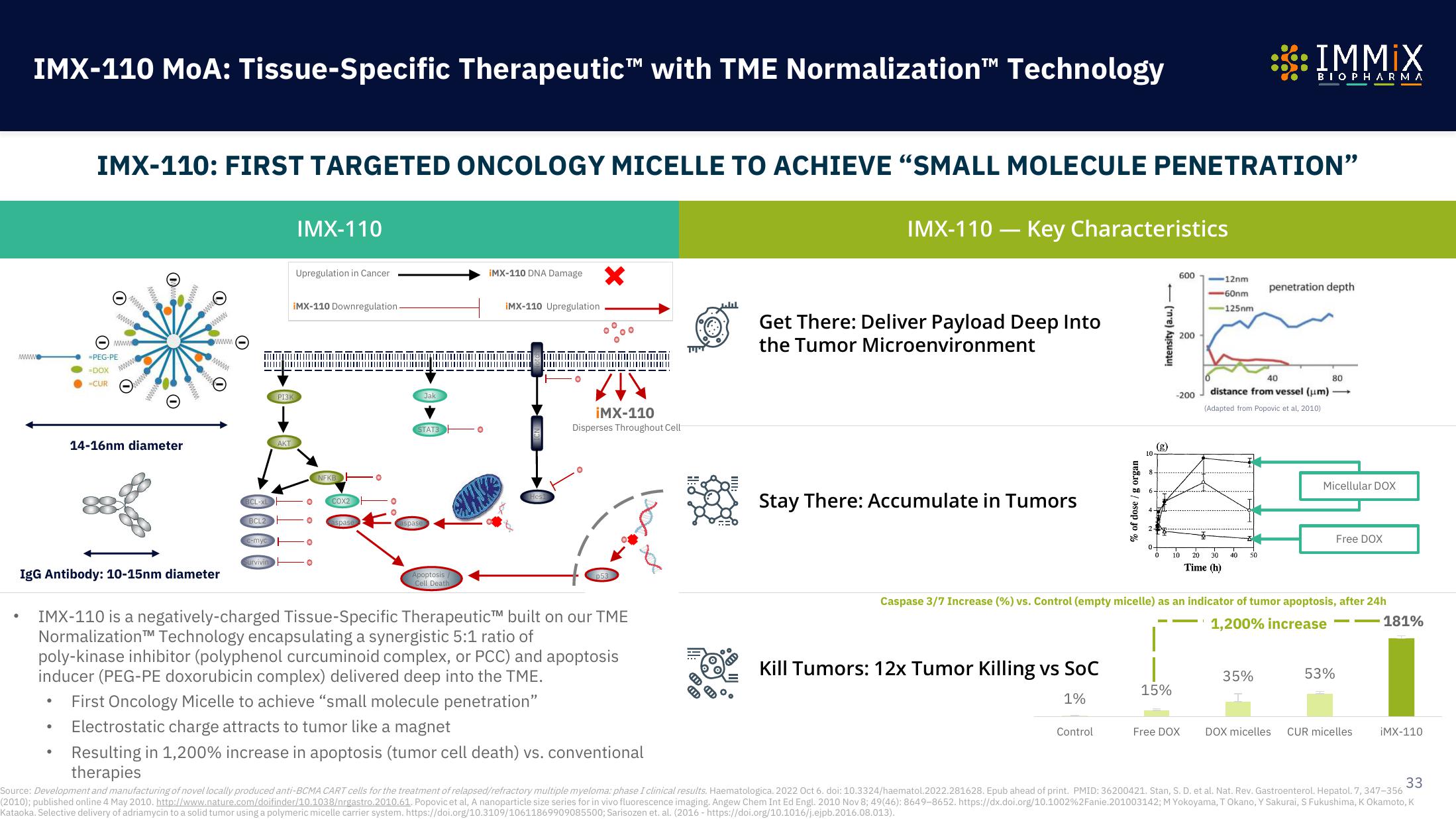 Immix Biopharma Investor Presentation Deck slide image #33