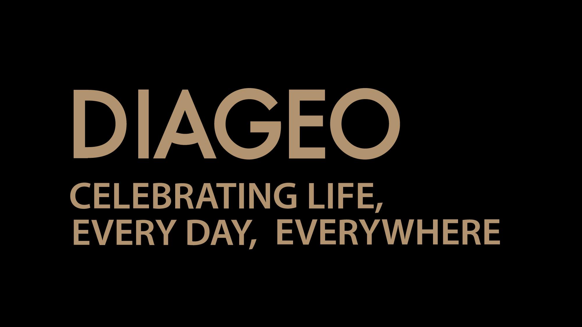 Diageo Investor Day Presentation Deck slide image #28