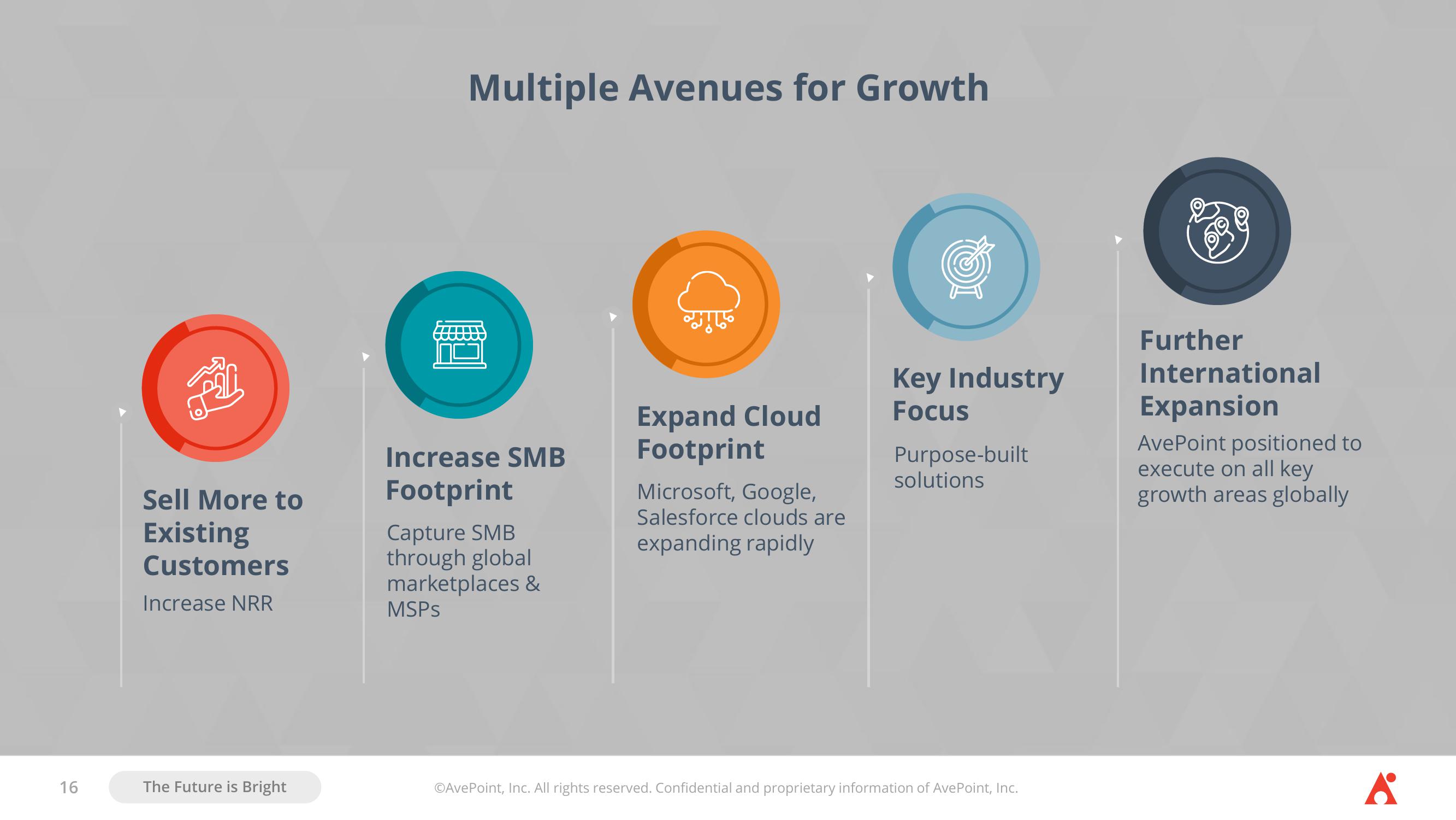 AvePoint Investor Presentation Deck slide image #16