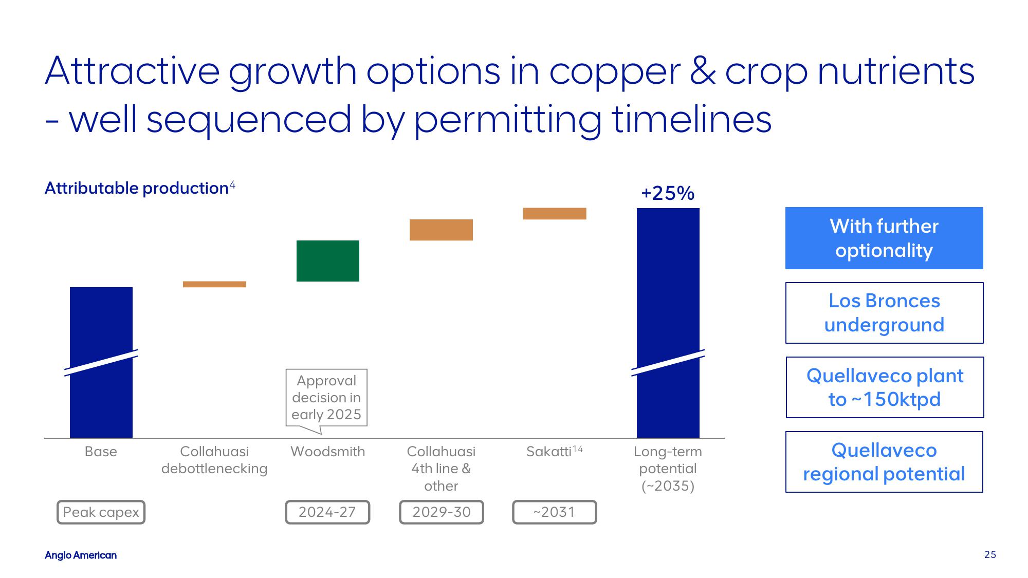 AngloAmerican Investor Presentation Deck slide image #25