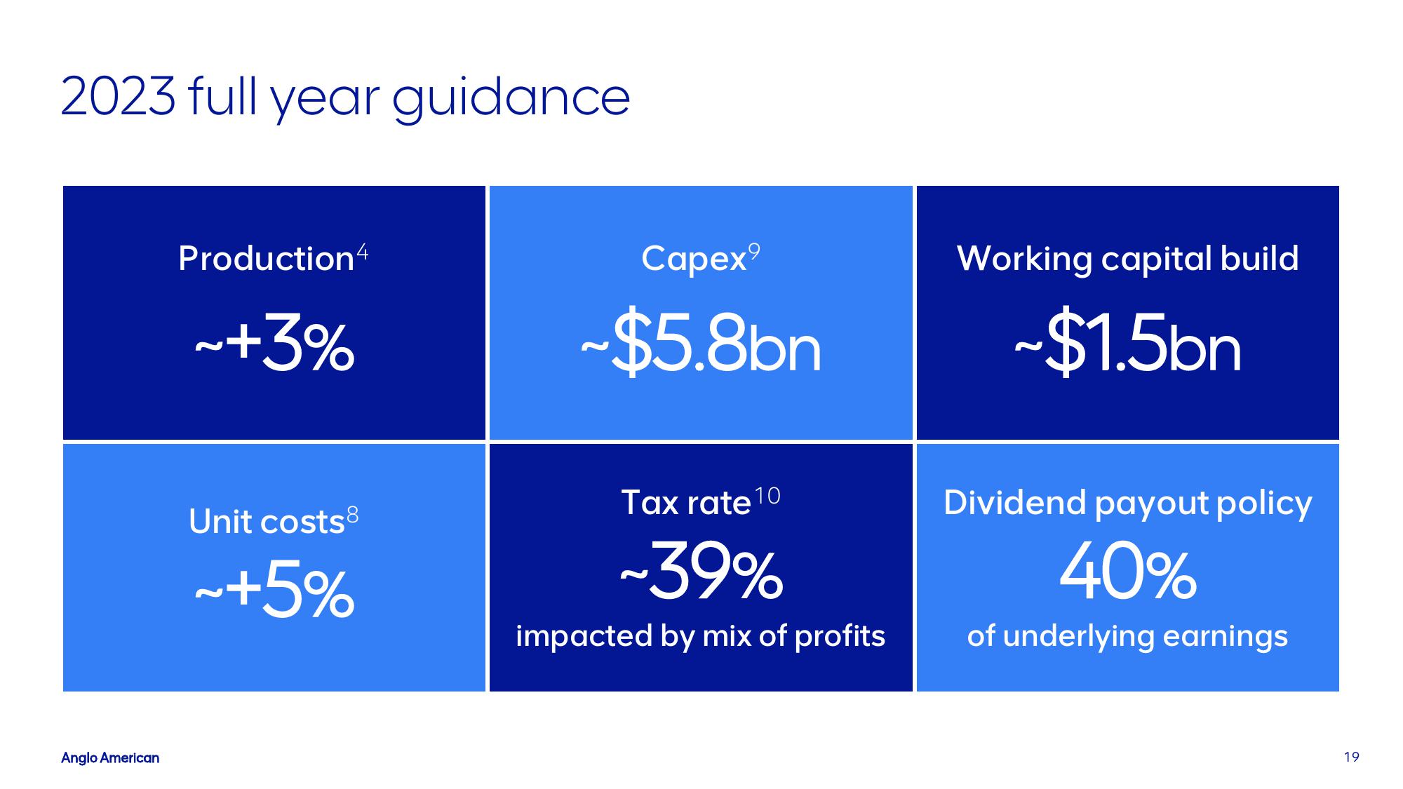 AngloAmerican Investor Presentation Deck slide image #19