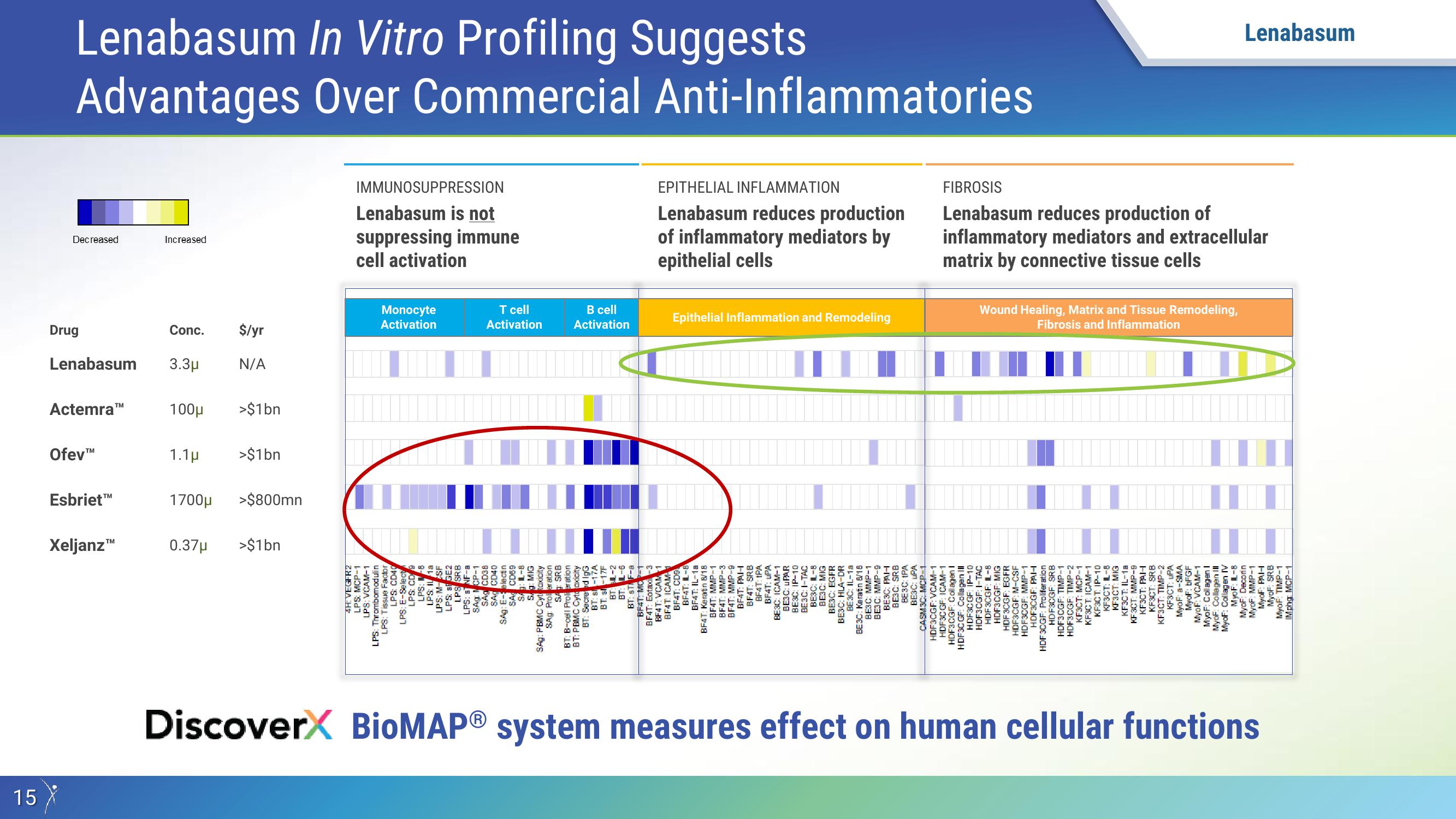 Investor Presentation slide image #15