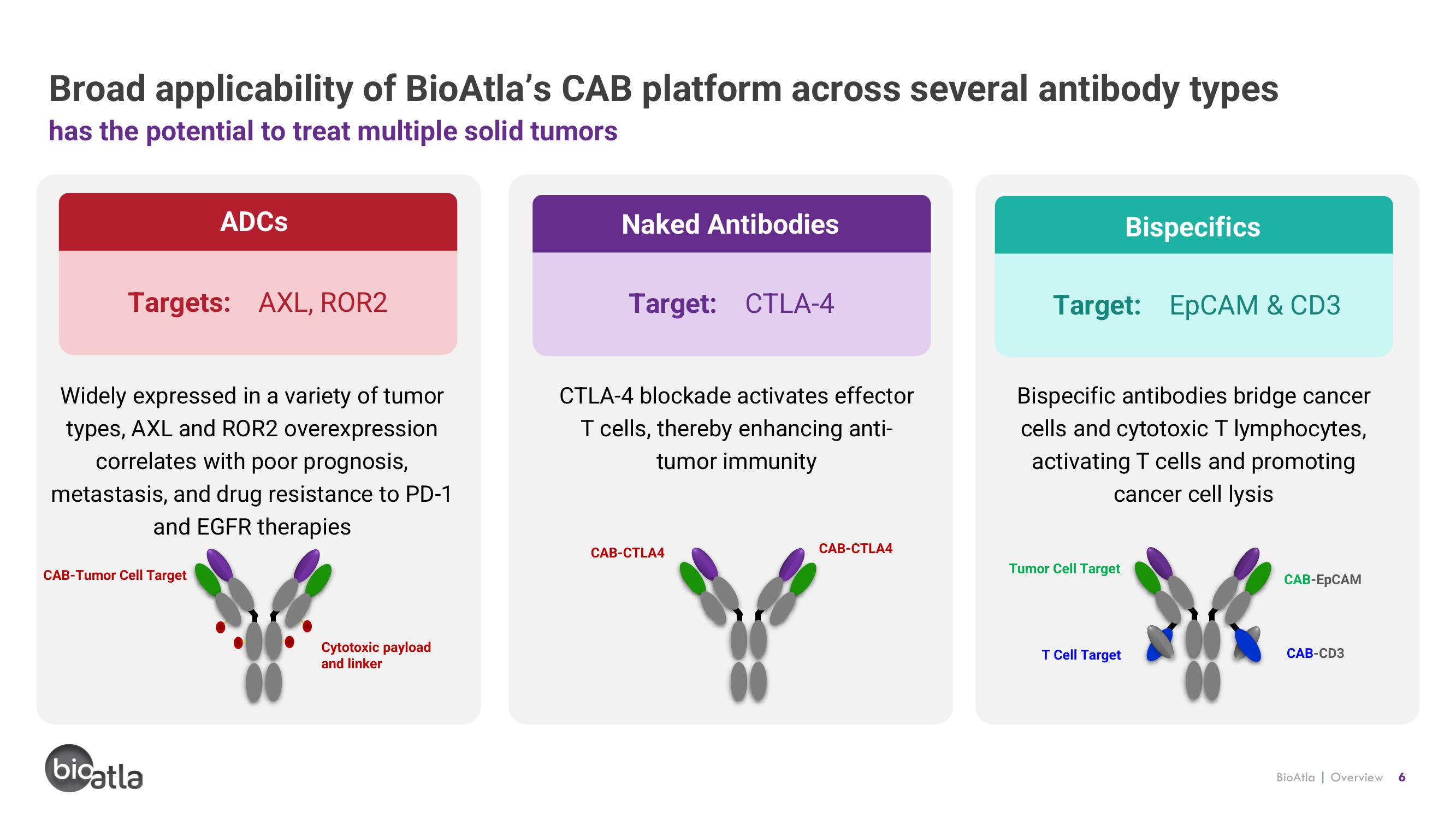 BioAtla Investor Presentation Deck slide image #6