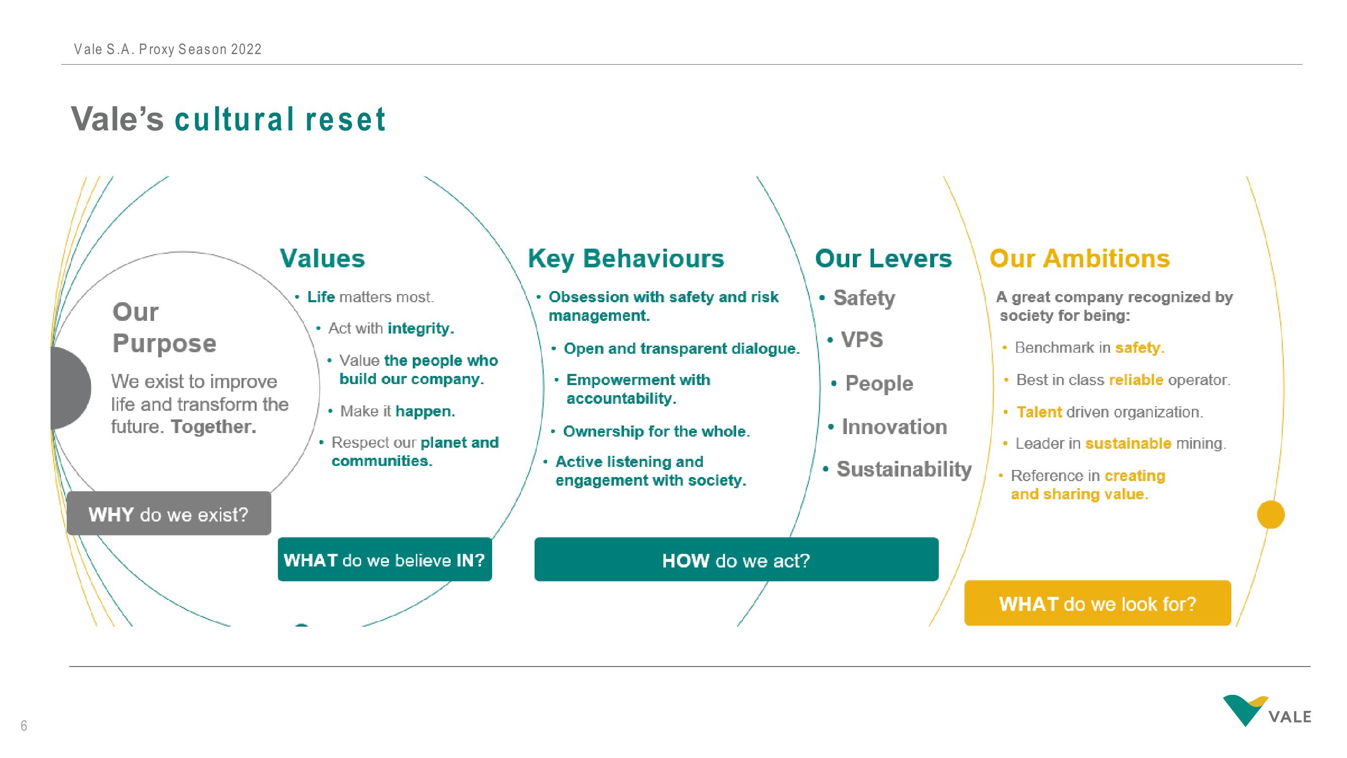 Vale Investor Presentation Deck slide image #6