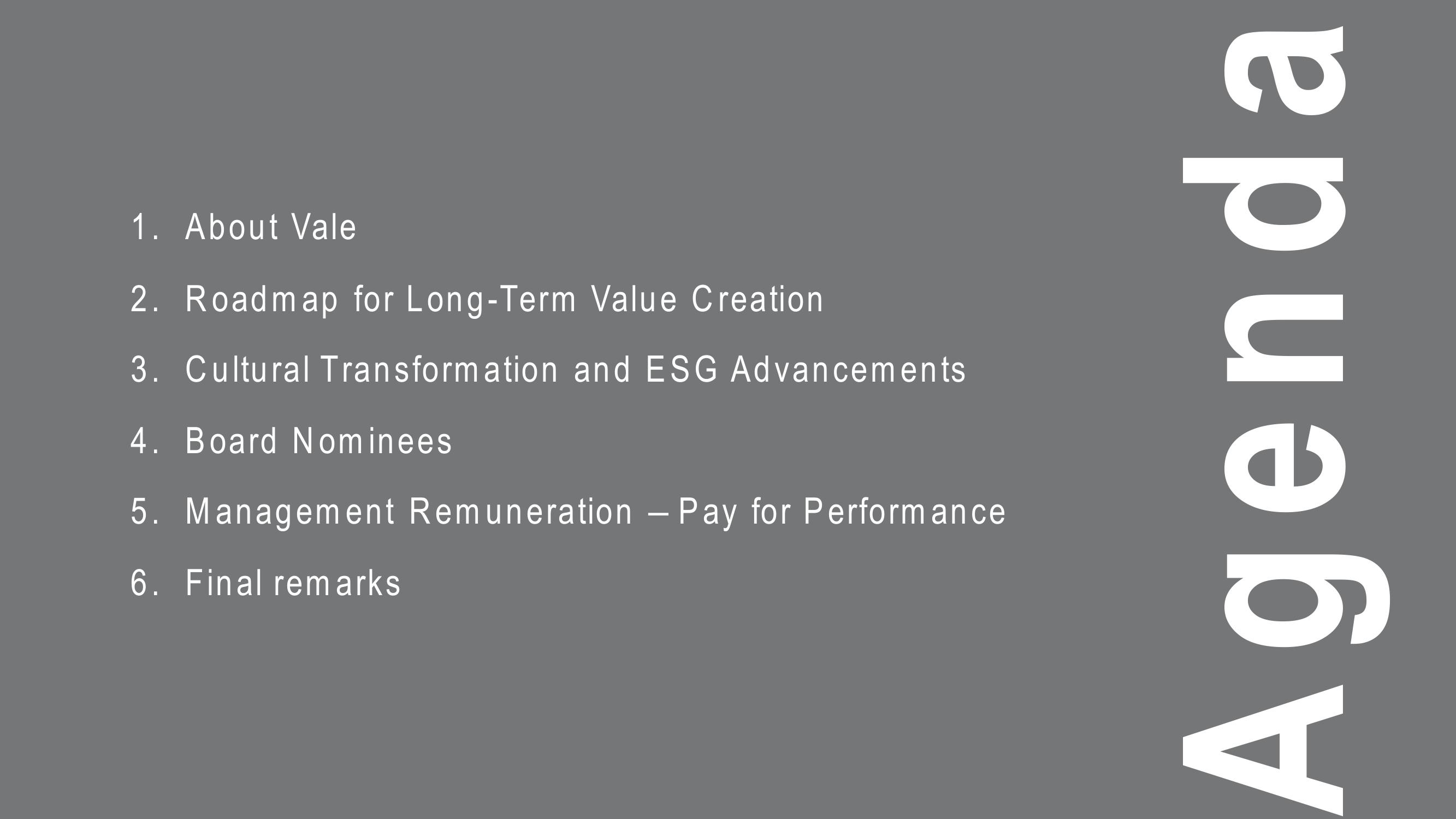 Vale Investor Presentation Deck slide image #3