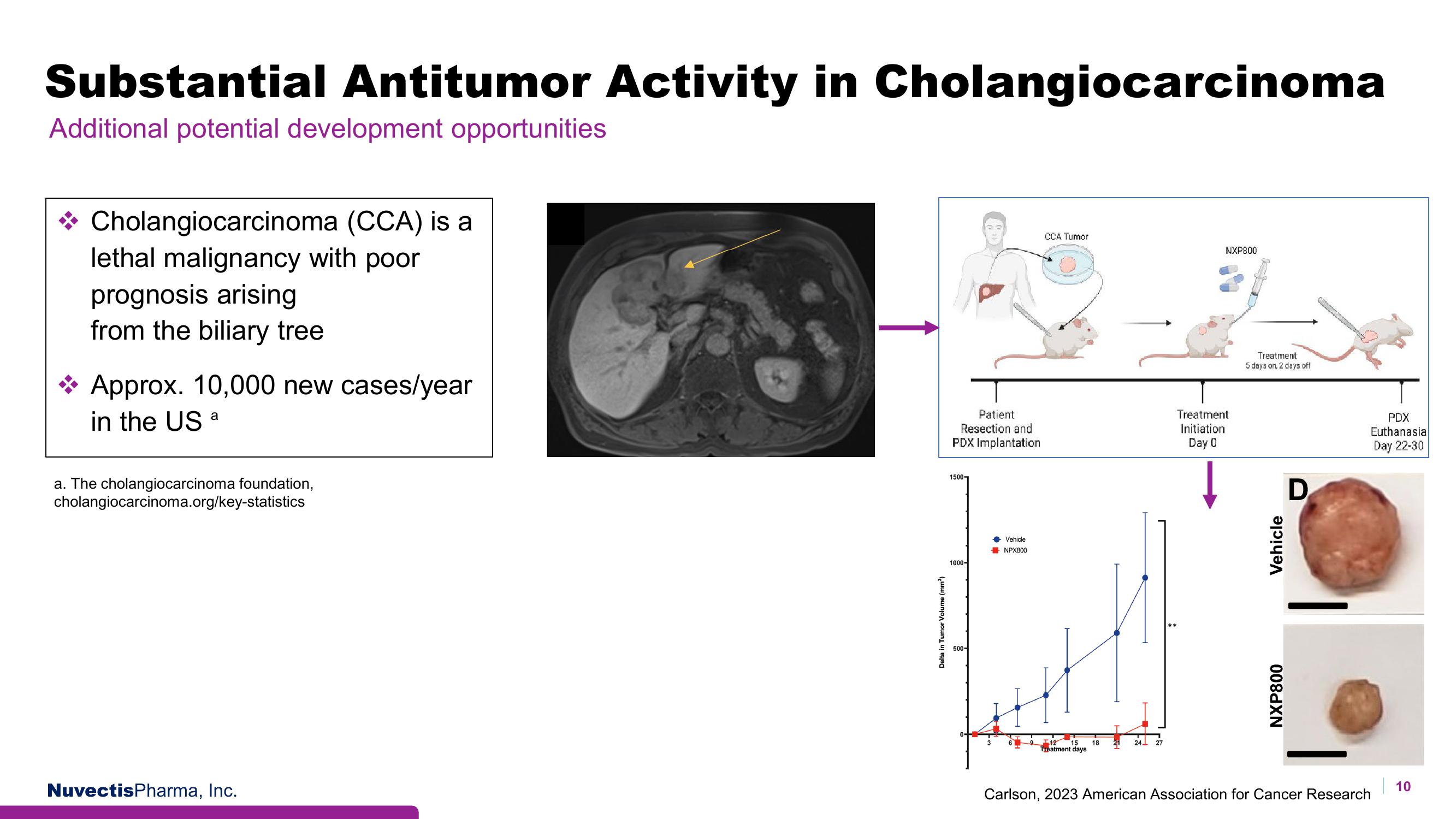 Nuvectis Pharma Investor Presentation Deck slide image #10