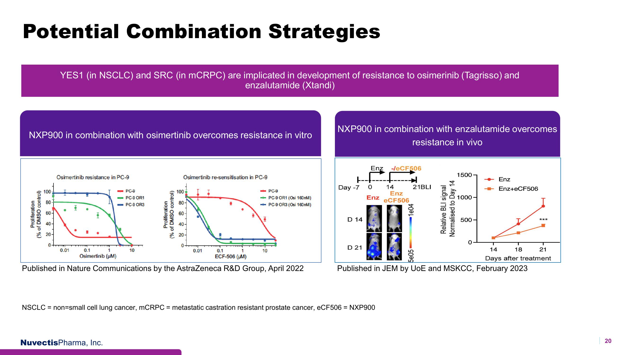 Nuvectis Pharma Investor Presentation Deck slide image #20