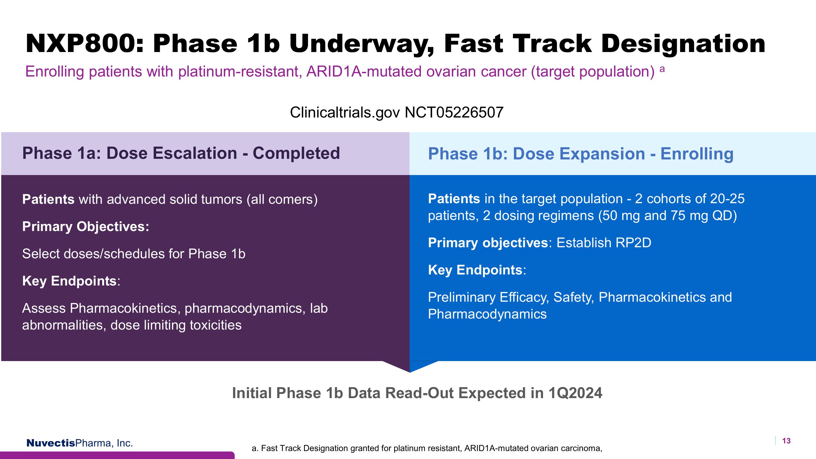 Nuvectis Pharma Investor Presentation Deck slide image #13
