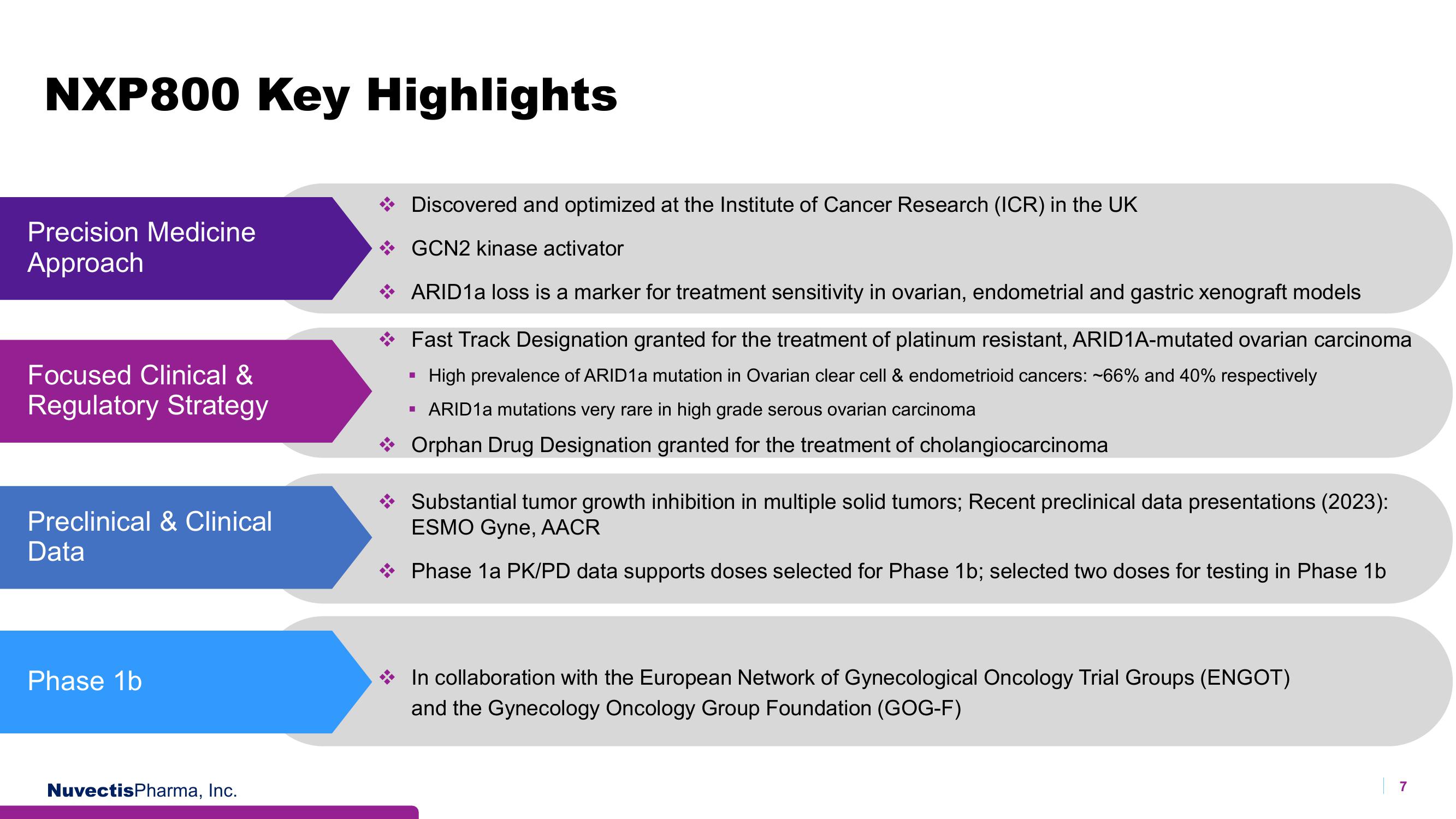Nuvectis Pharma Investor Presentation Deck slide image #7