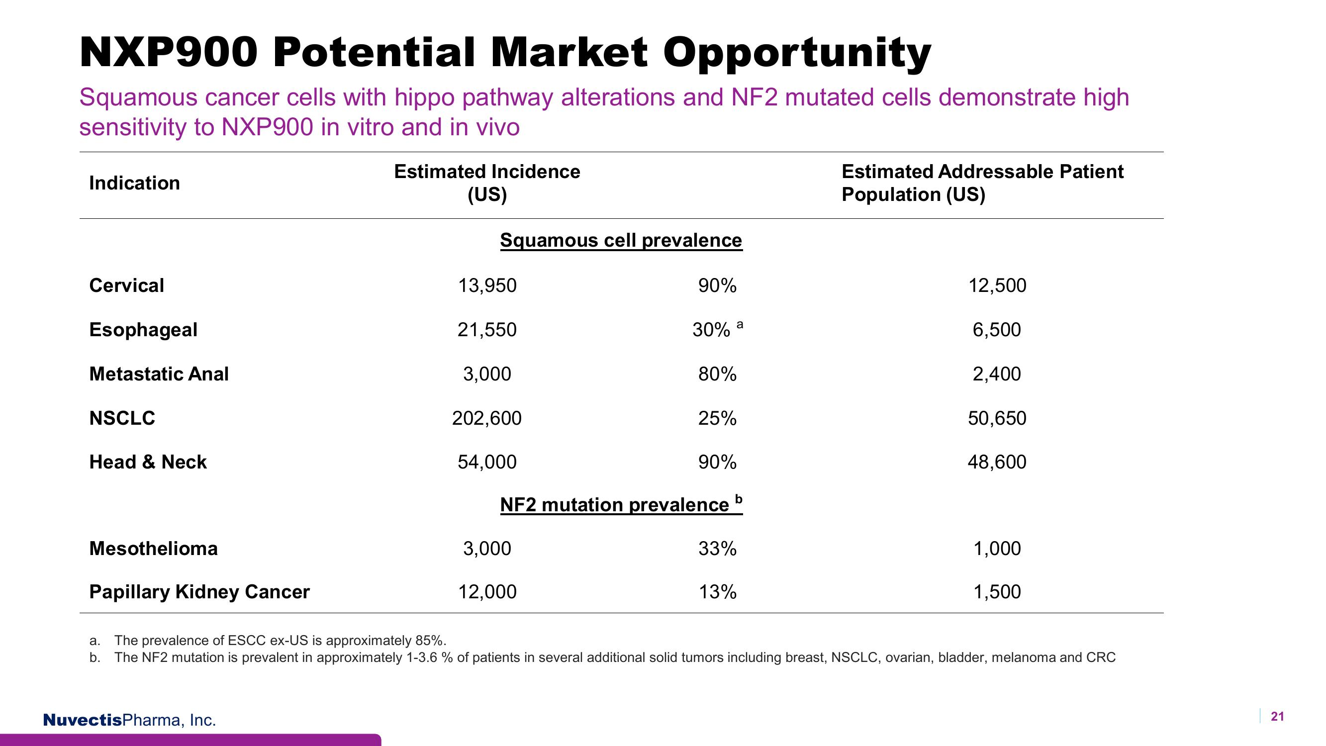 Nuvectis Pharma Investor Presentation Deck slide image #21