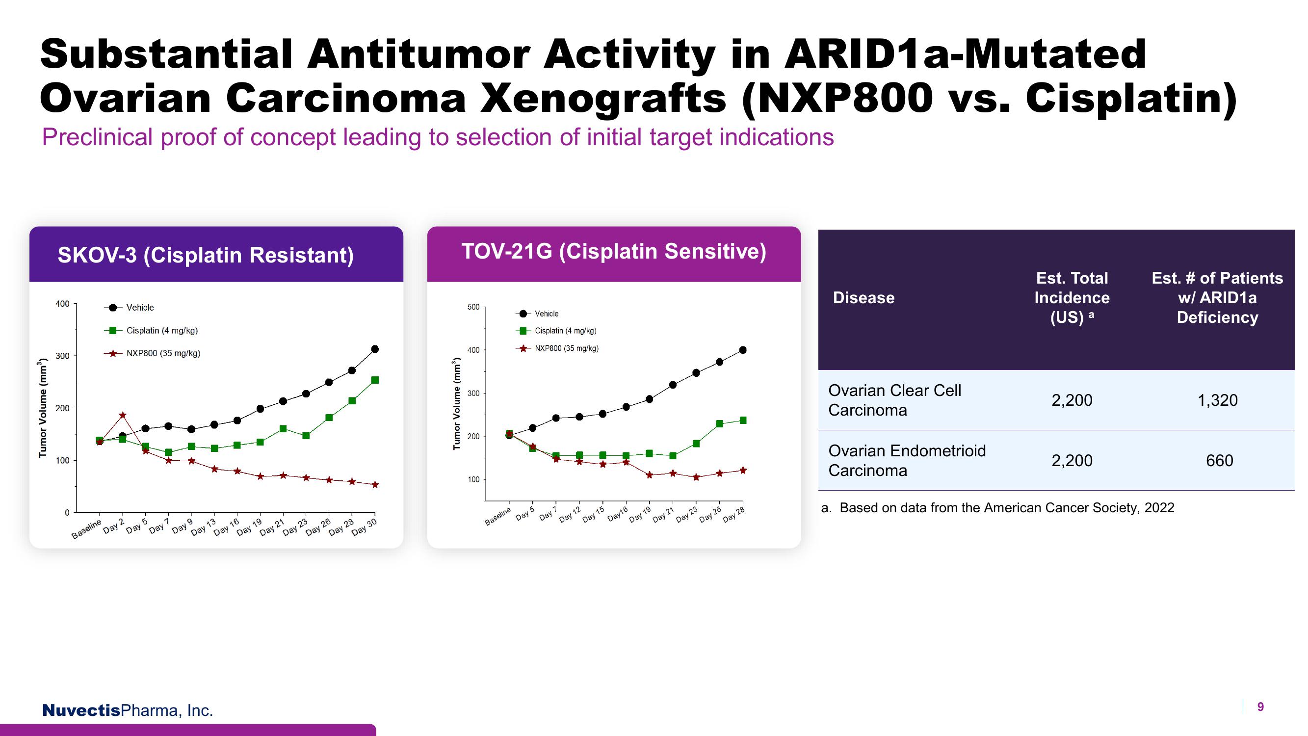 Nuvectis Pharma Investor Presentation Deck slide image #9