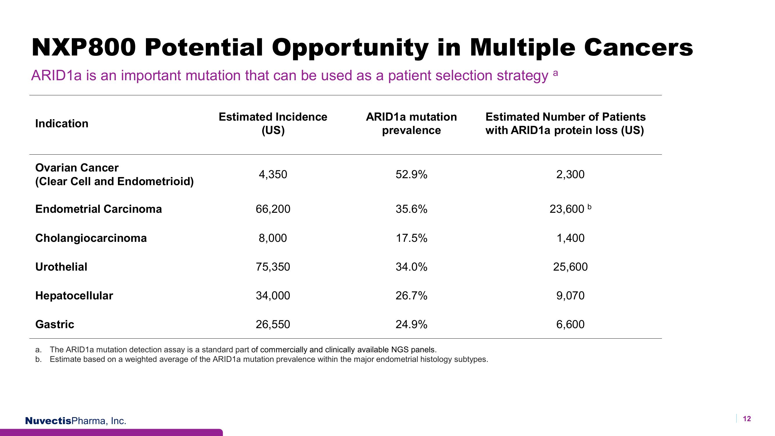 Nuvectis Pharma Investor Presentation Deck slide image #12