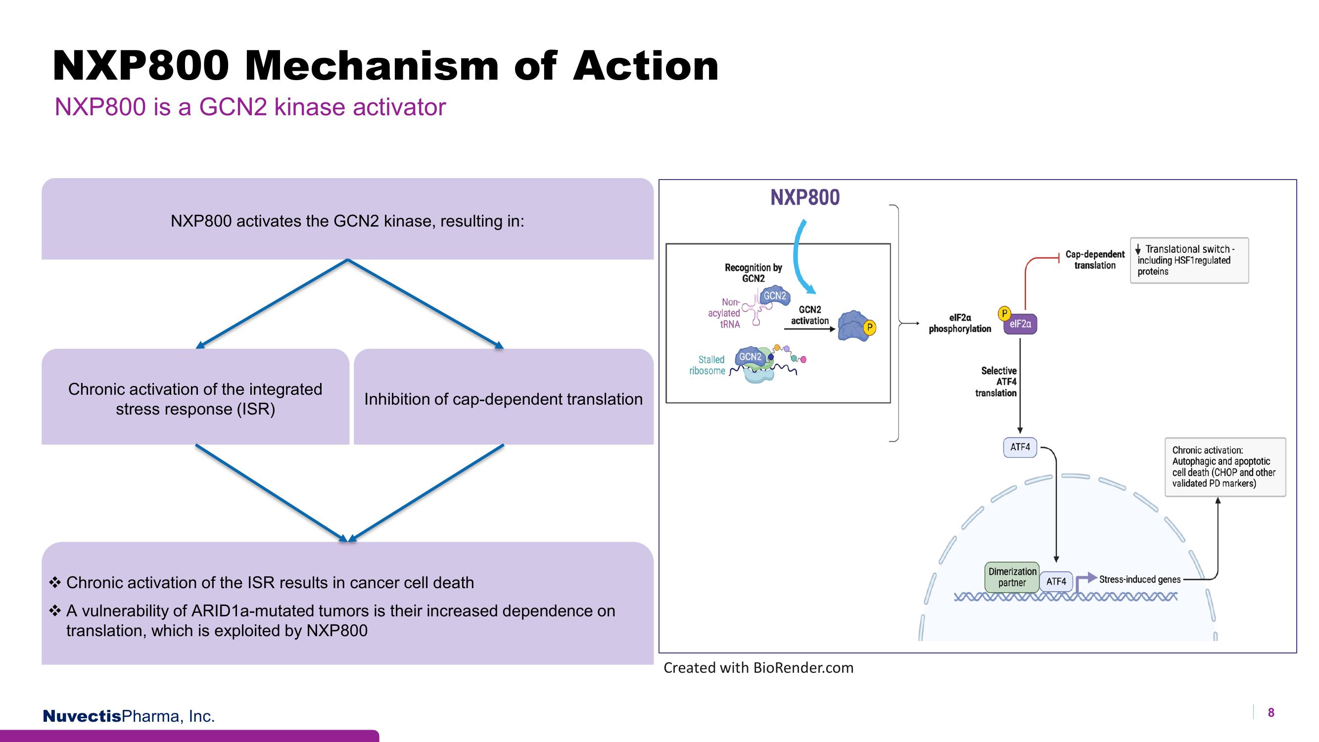 Nuvectis Pharma Investor Presentation Deck slide image #8