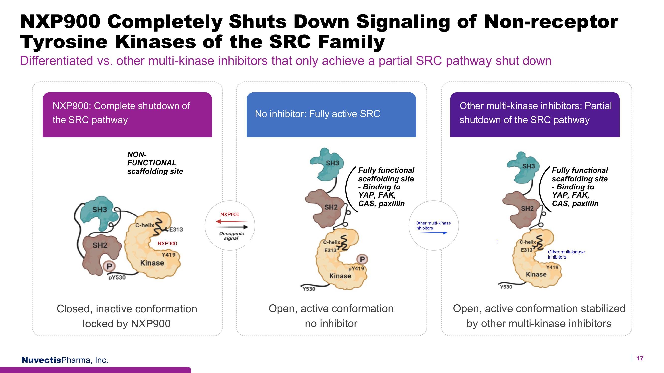 Nuvectis Pharma Investor Presentation Deck slide image #17