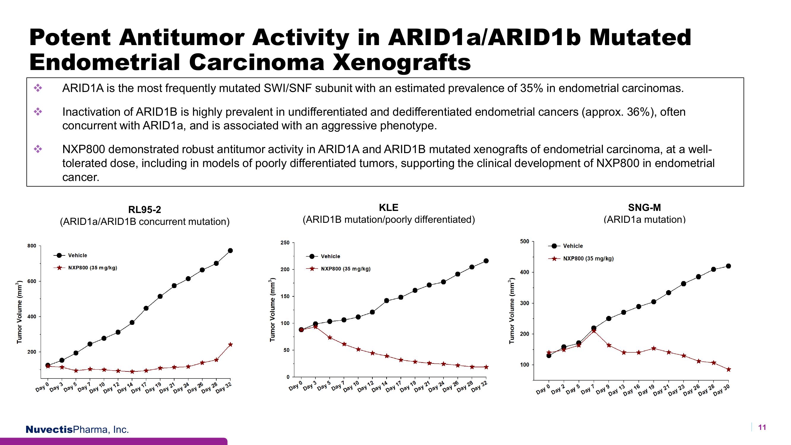 Nuvectis Pharma Investor Presentation Deck slide image #11