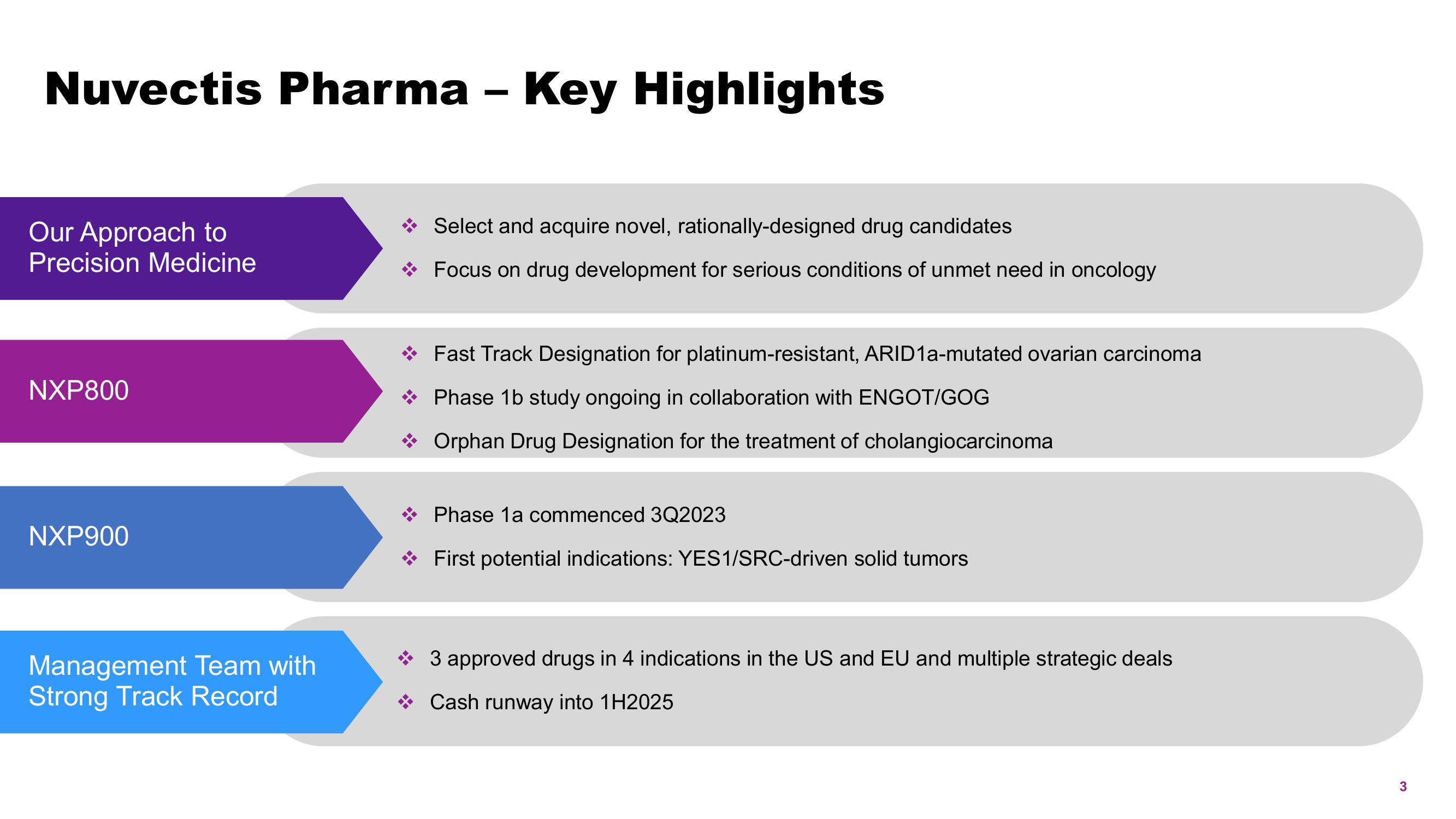 Nuvectis Pharma Investor Presentation Deck slide image #3