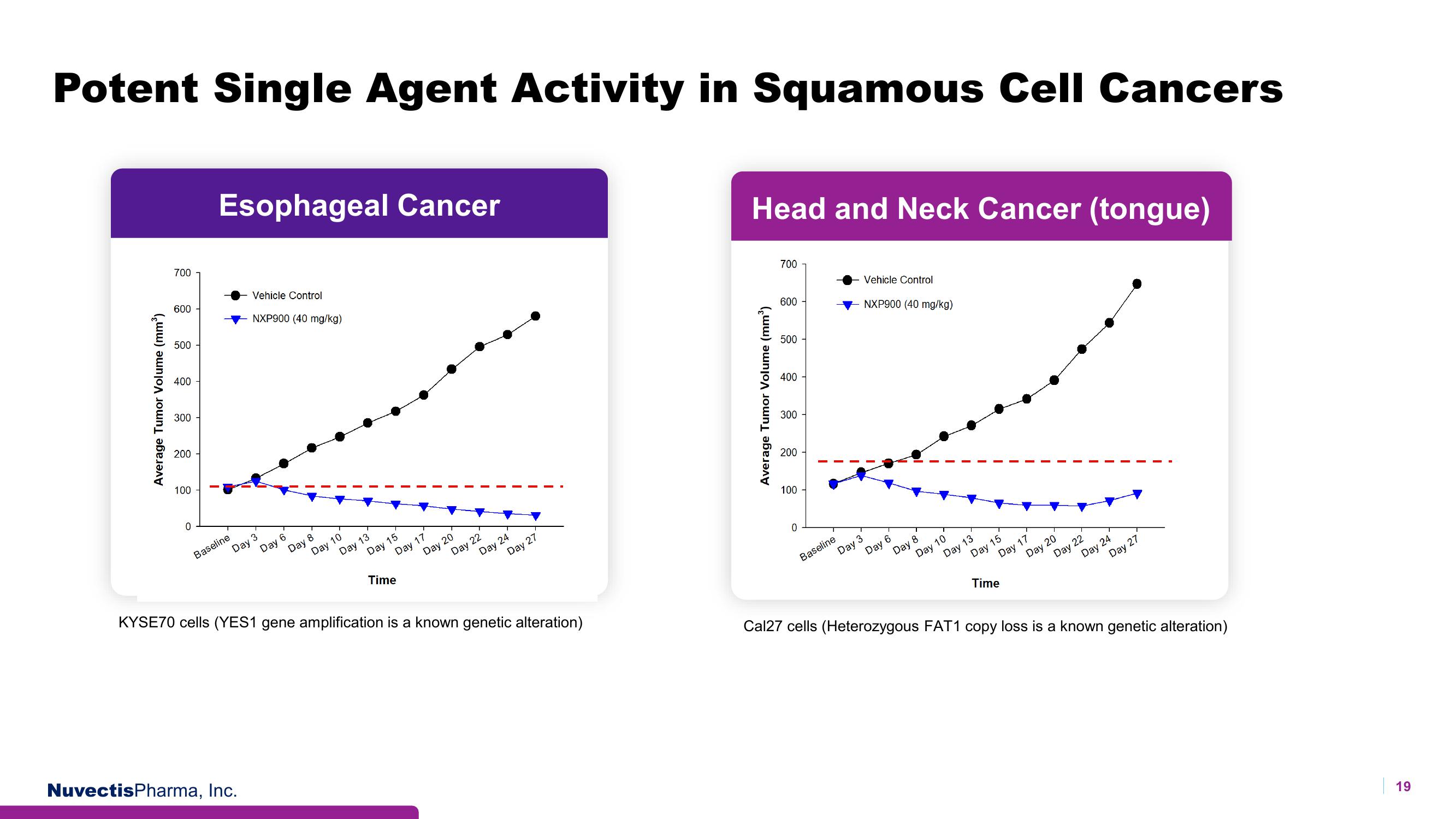 Nuvectis Pharma Investor Presentation Deck slide image #19