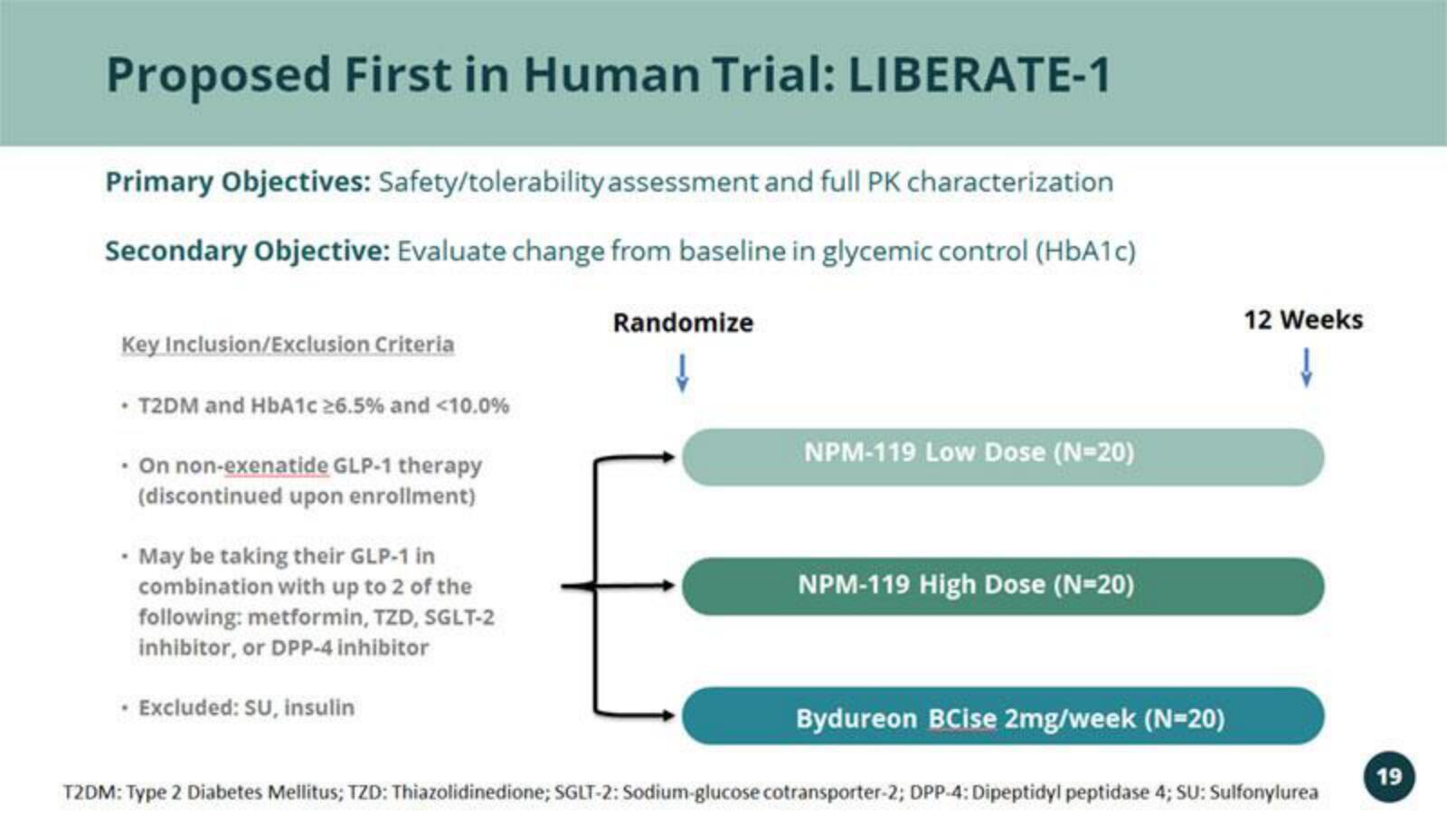 Vivani Medical Mergers and Acquisitions Presentation Deck slide image #19