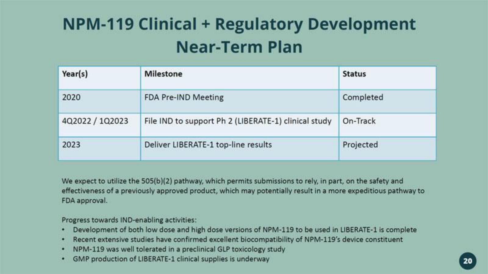 Vivani Medical Mergers and Acquisitions Presentation Deck slide image #20