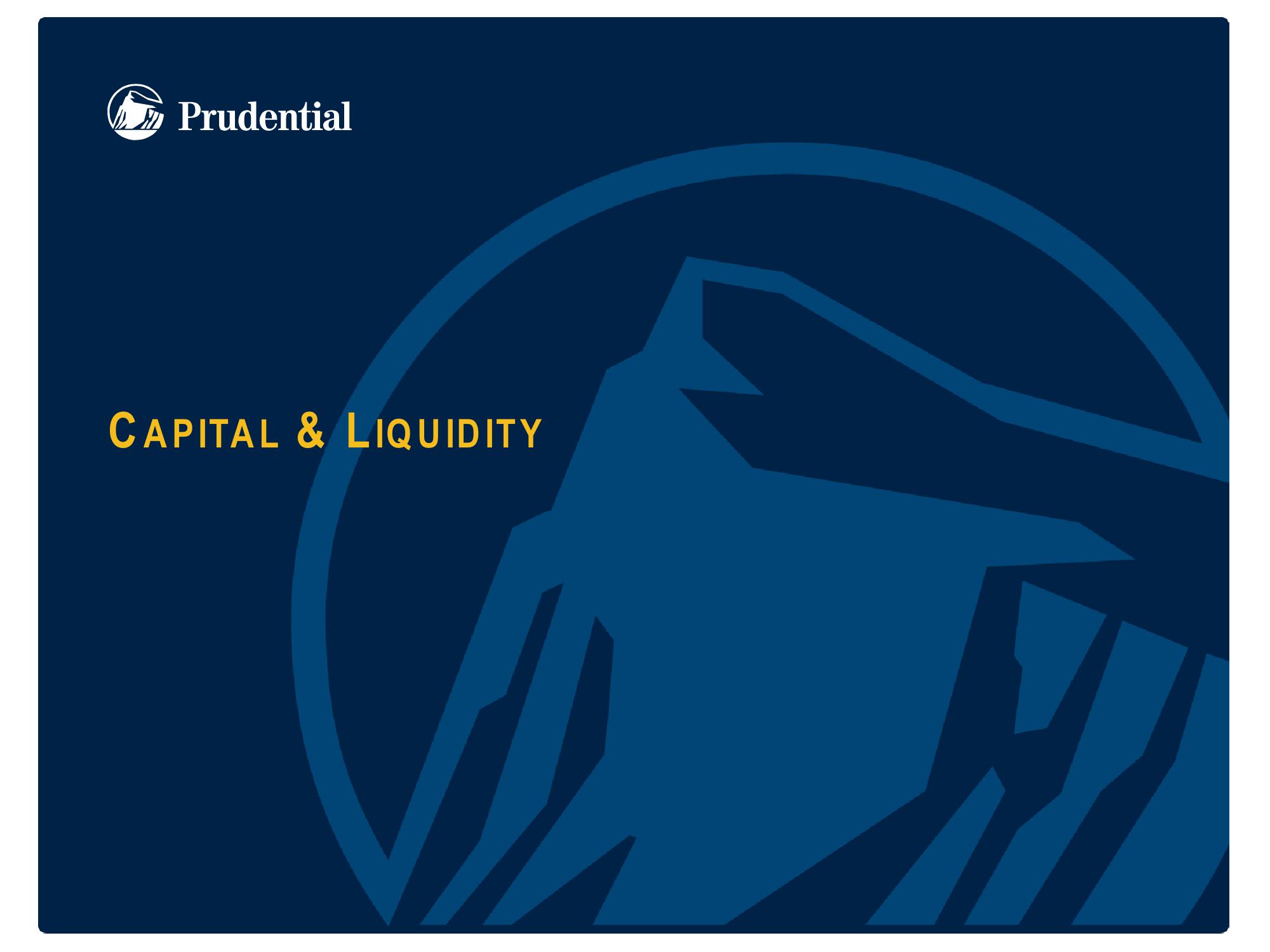 Prudential Financial, Inc. Debt Investors Update slide image #18