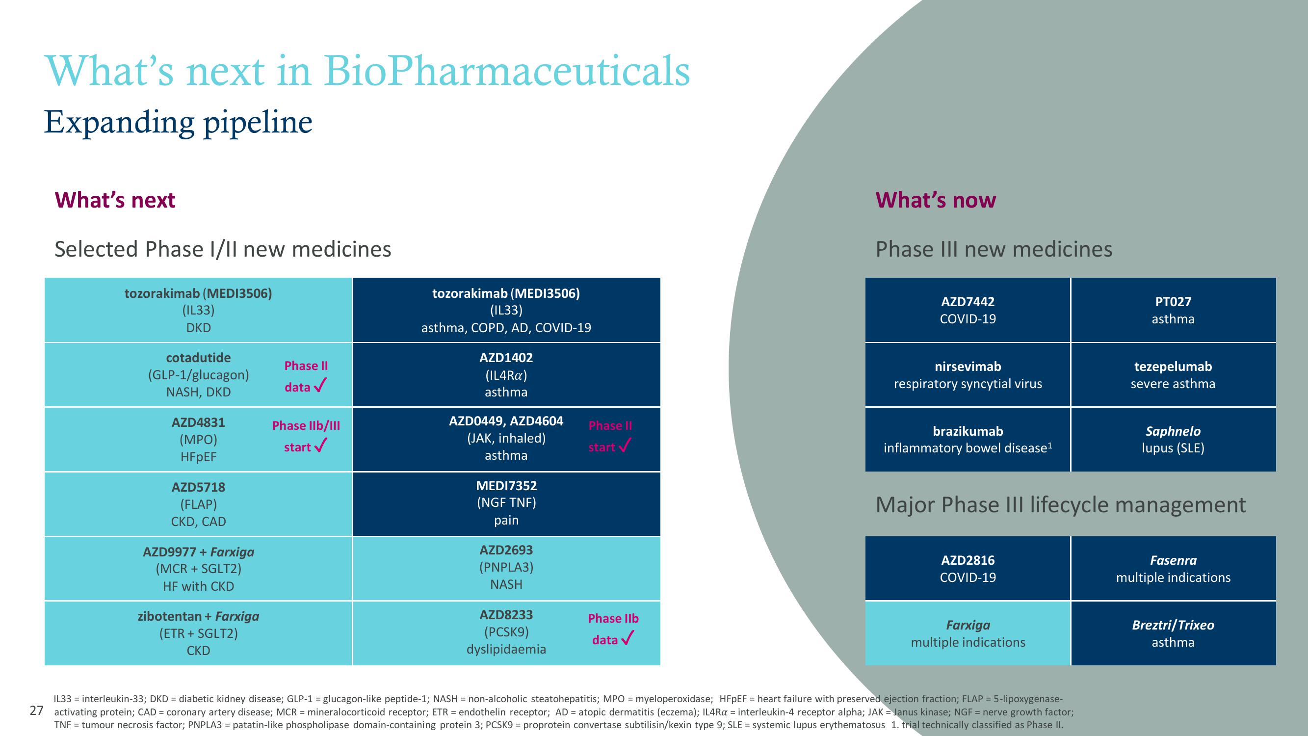 AstraZeneca Results Presentation Deck slide image #27