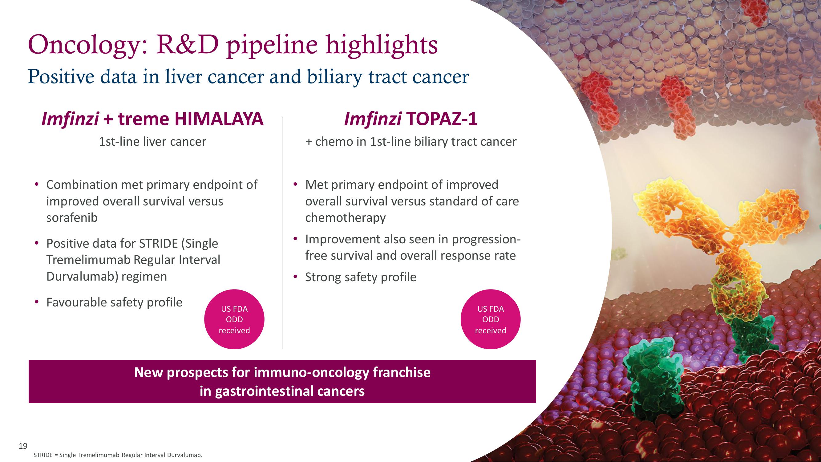 AstraZeneca Results Presentation Deck slide image #19