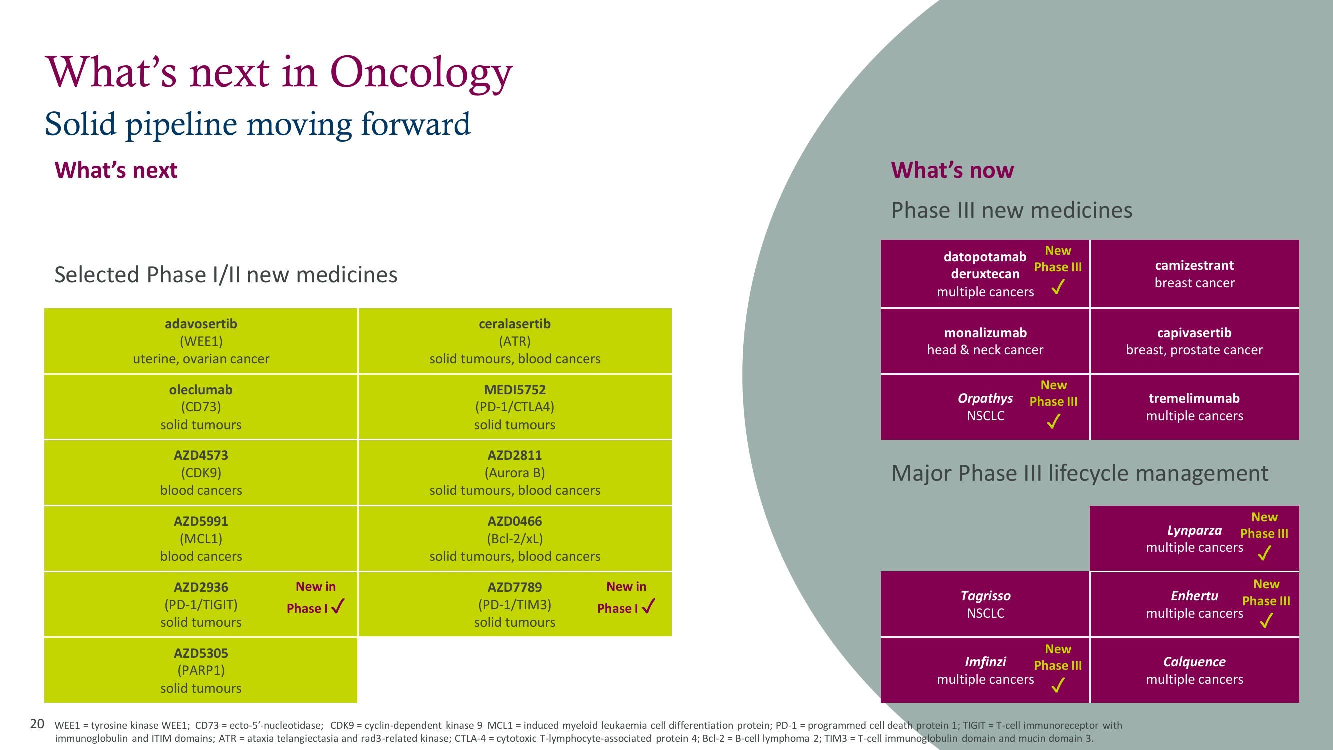 AstraZeneca Results Presentation Deck slide image #20