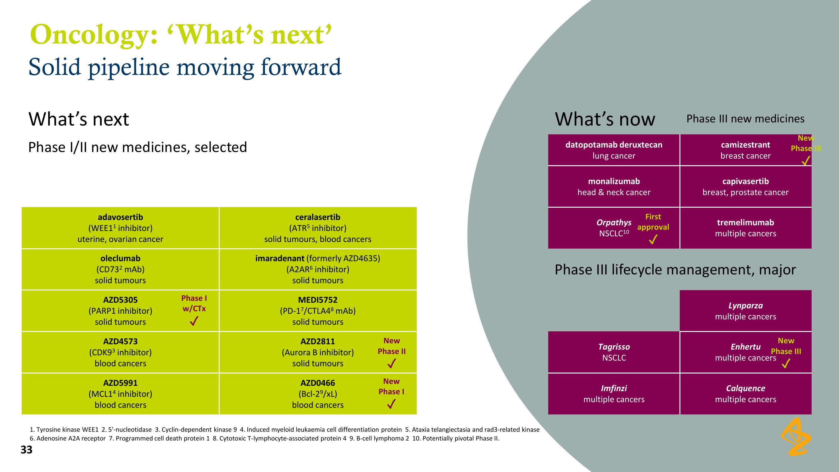 AstraZeneca Results Presentation Deck slide image #33