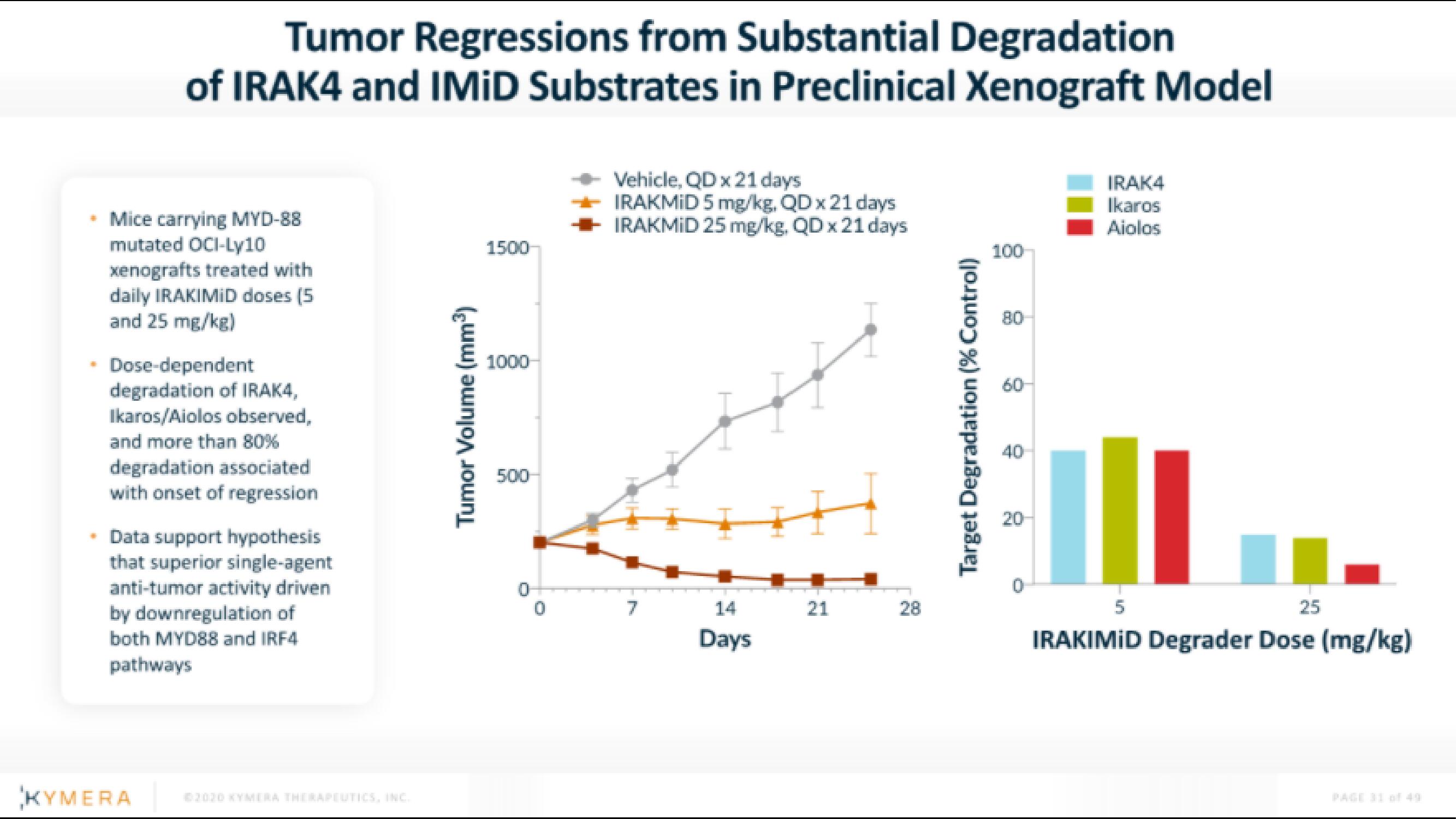 Kymera IPO Presentation Deck slide image #31