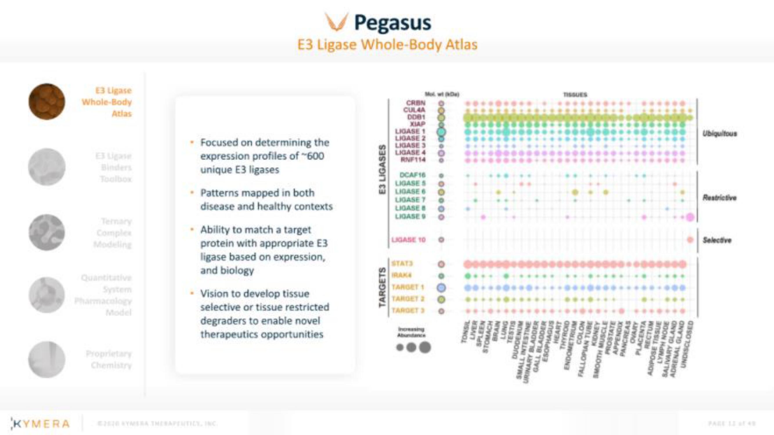 Kymera IPO Presentation Deck slide image #12