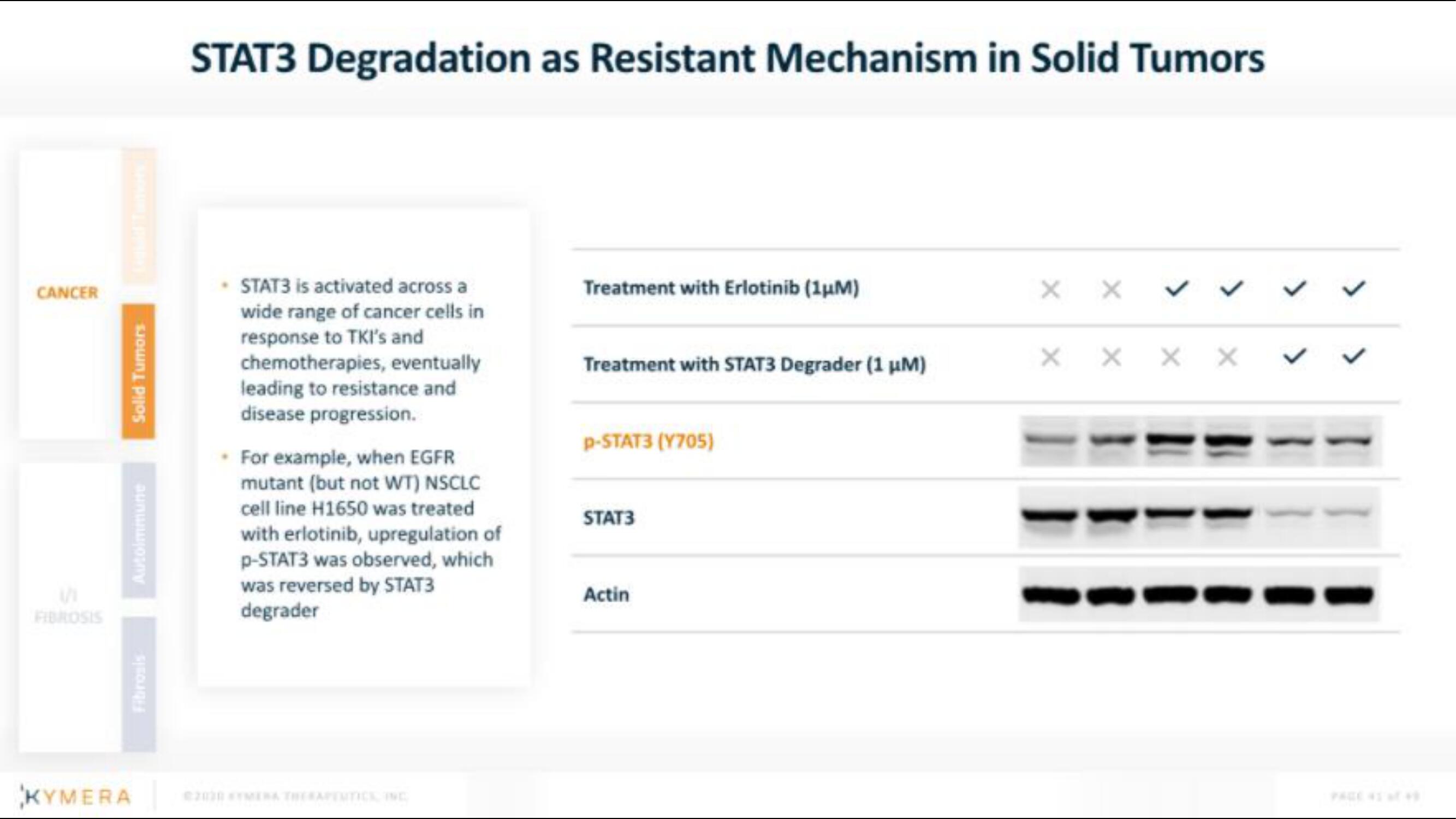 Kymera IPO Presentation Deck slide image #41