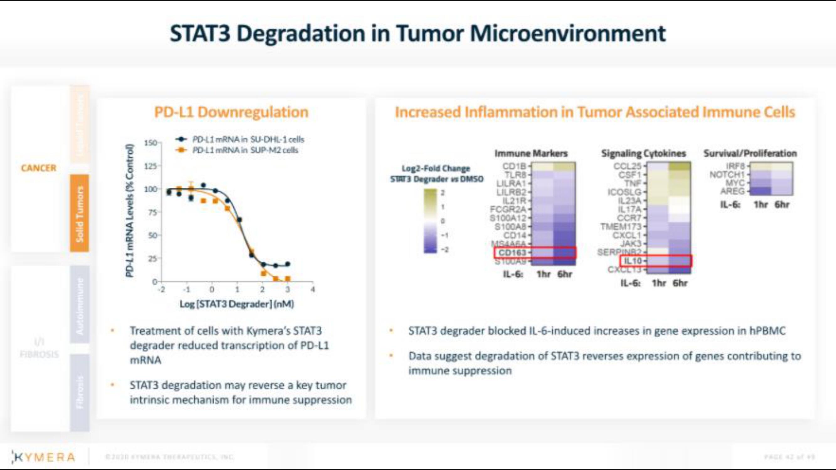 Kymera IPO Presentation Deck slide image #42