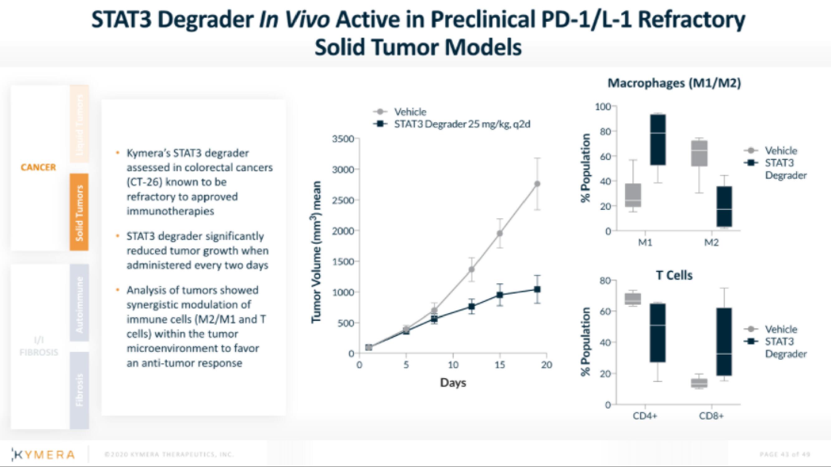 Kymera IPO Presentation Deck slide image #43