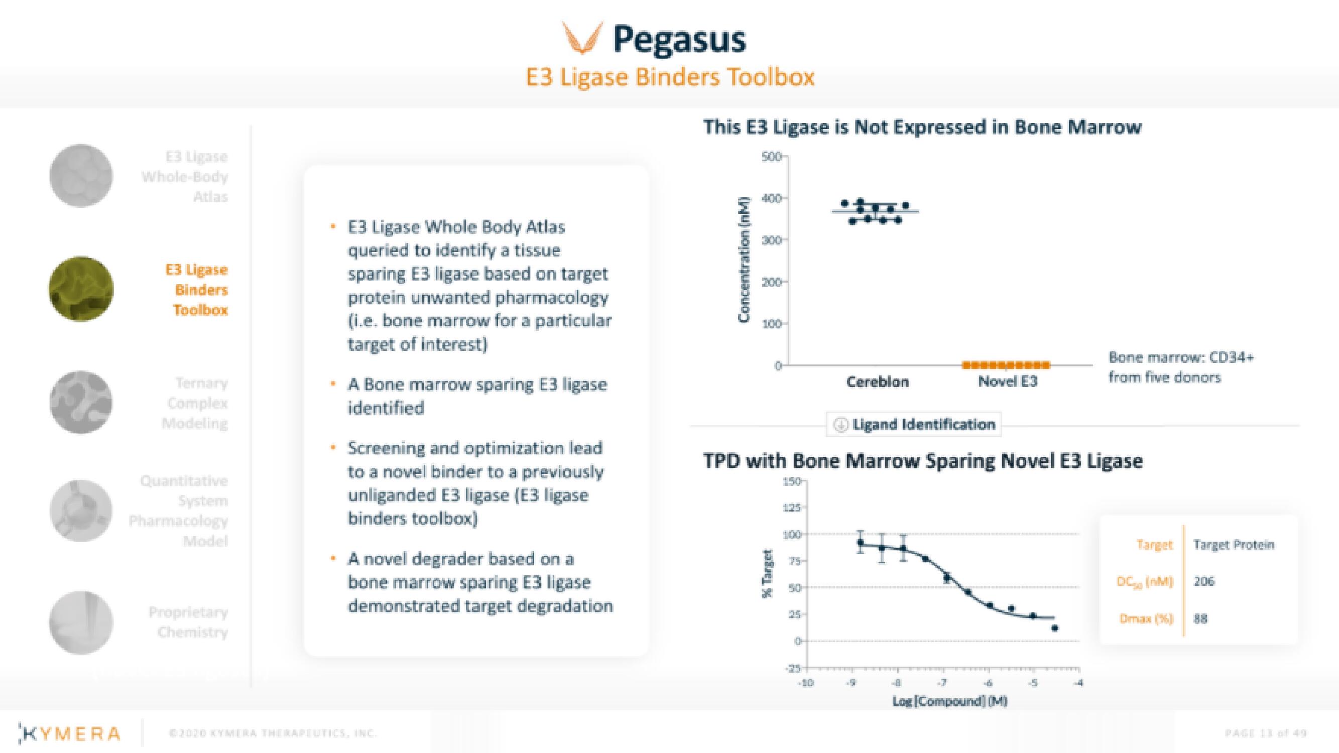 Kymera IPO Presentation Deck slide image #13