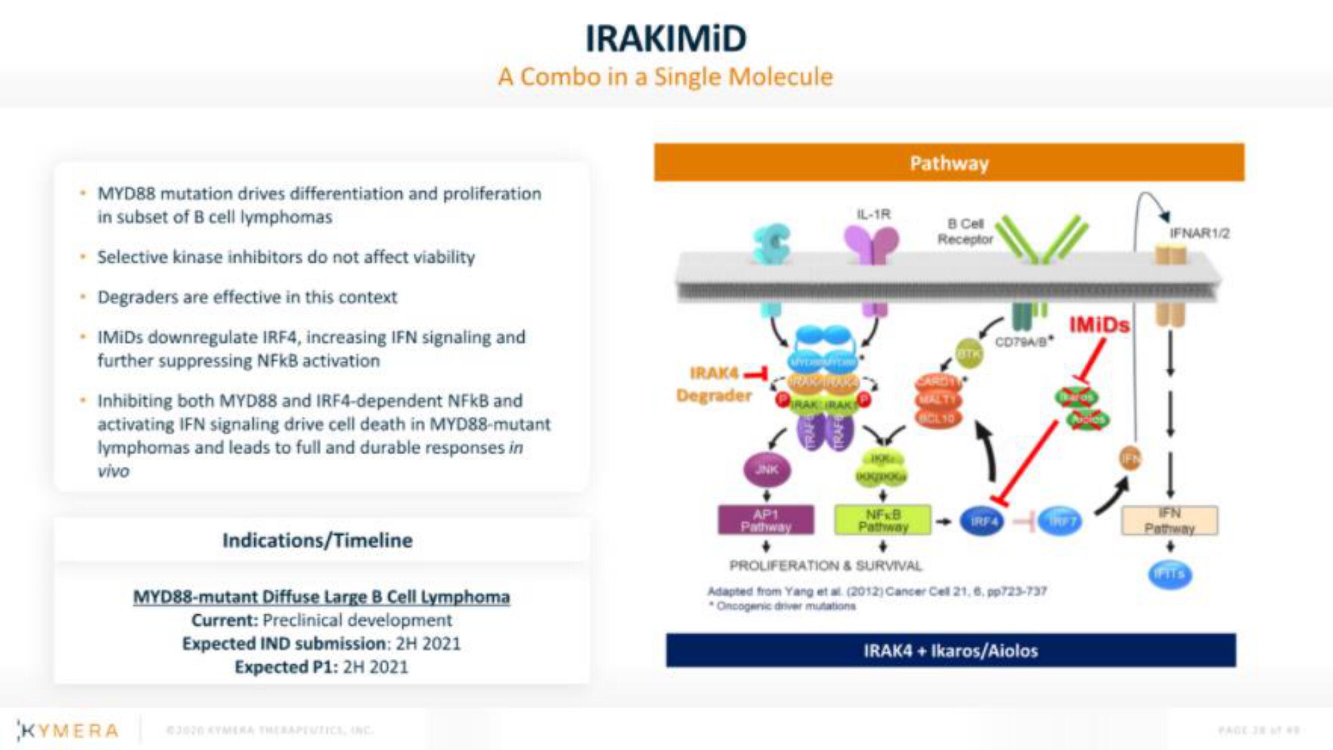 Kymera IPO Presentation Deck slide image #28