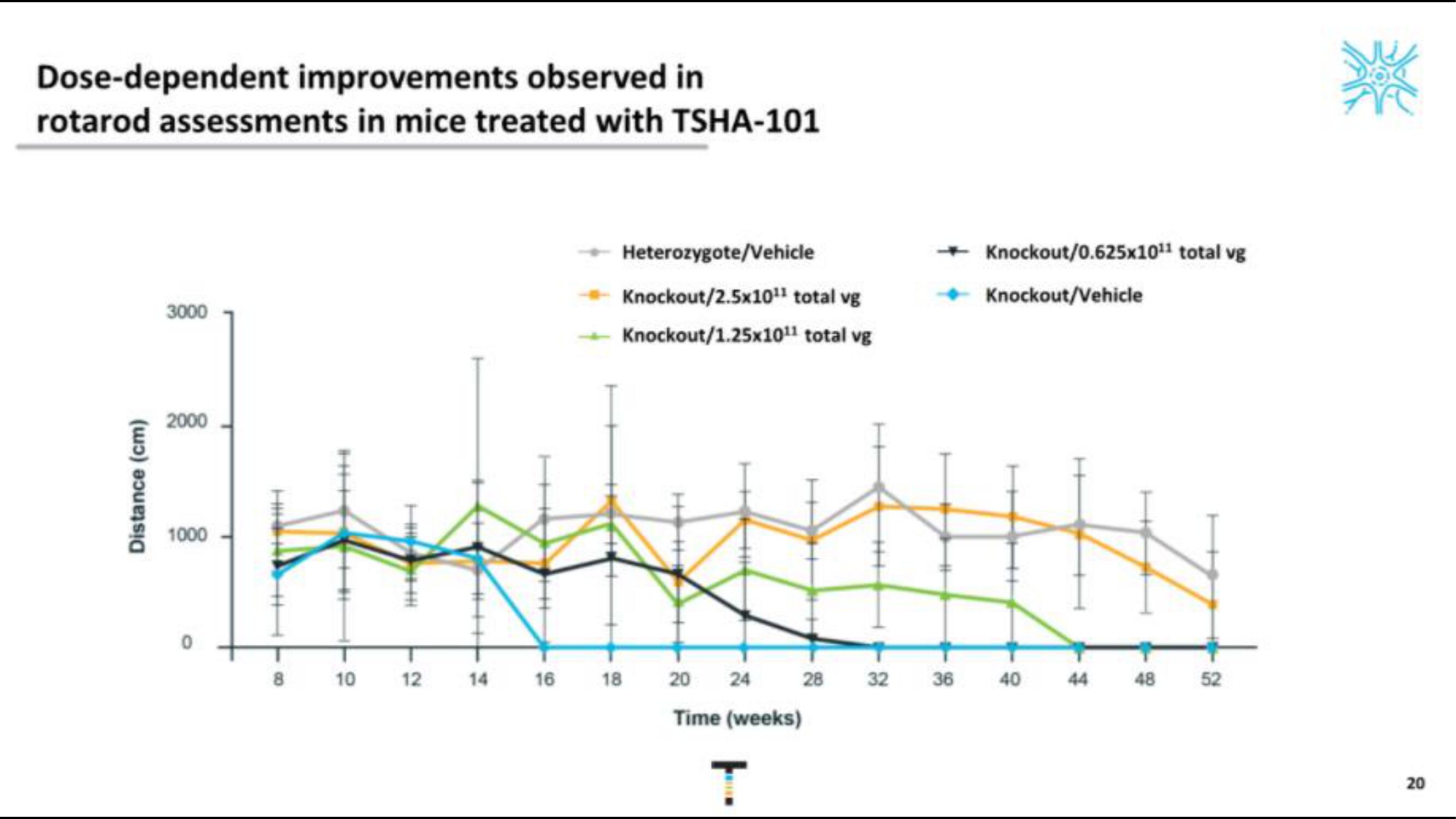 Taysha IPO Presentation Deck slide image #20