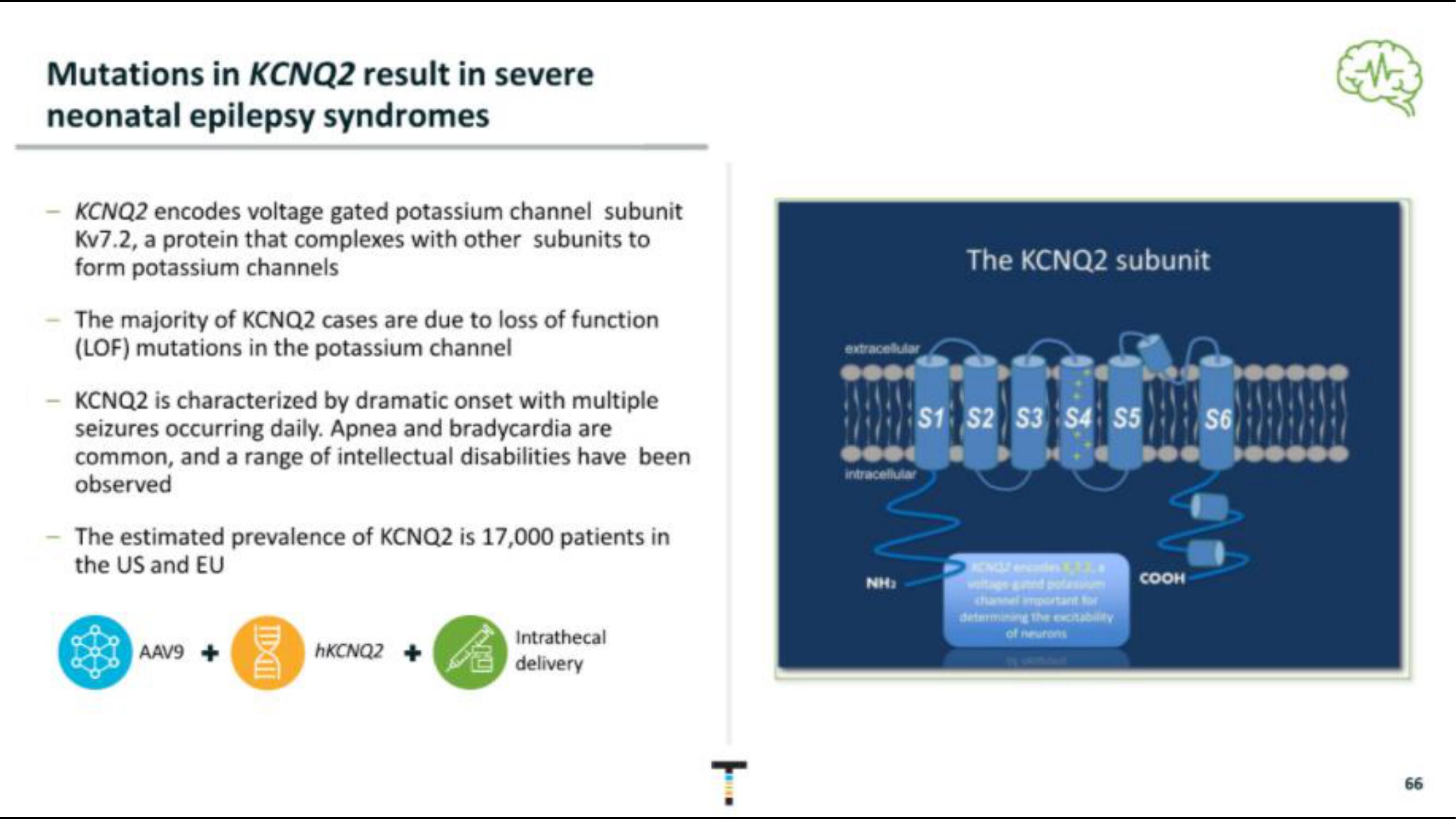 Taysha IPO Presentation Deck slide image #66