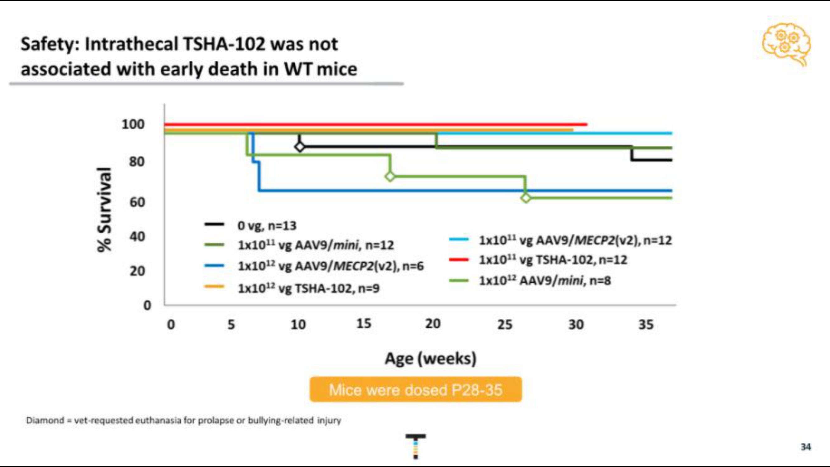 Taysha IPO Presentation Deck slide image #34