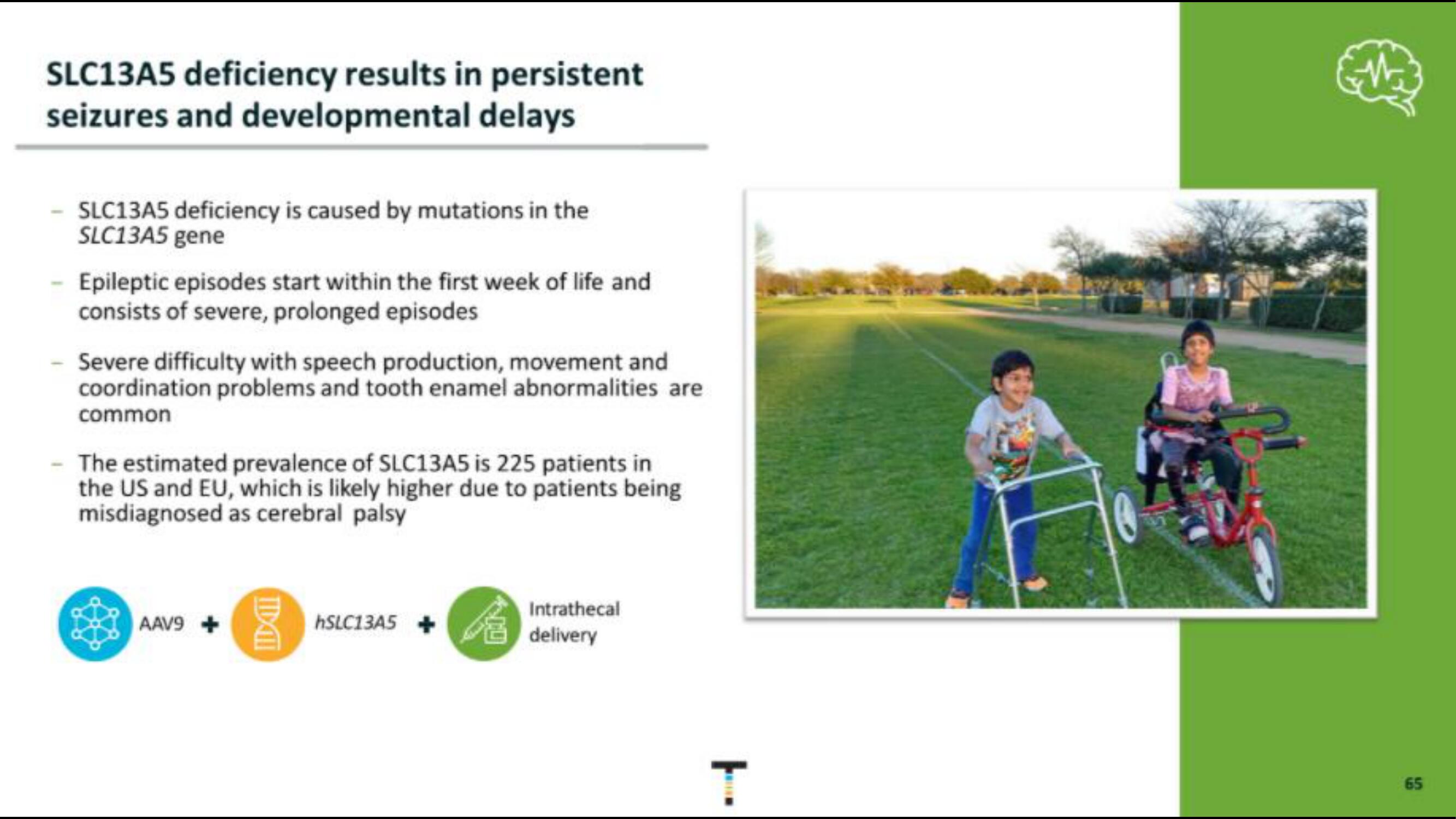 Taysha IPO Presentation Deck slide image #65