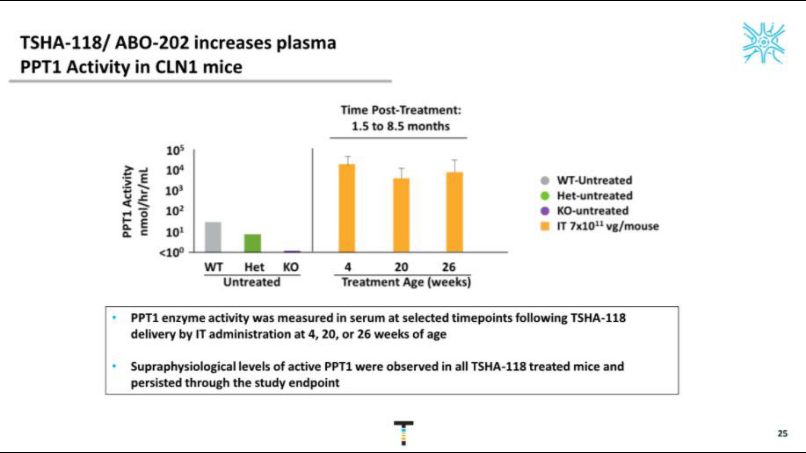 Taysha IPO Presentation Deck slide image #25