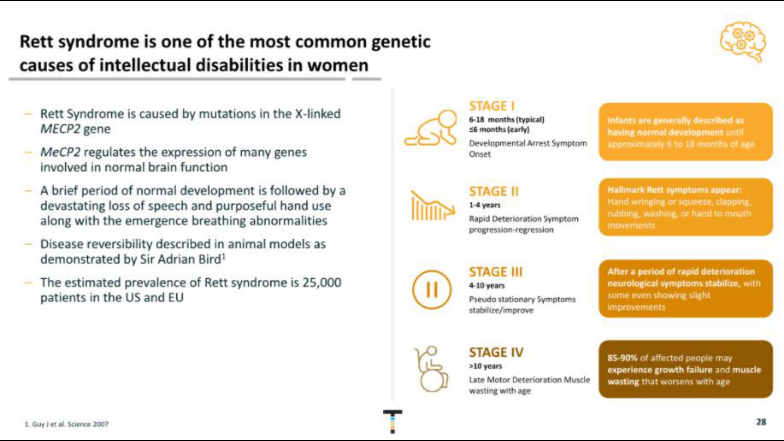 Taysha IPO Presentation Deck slide image #28