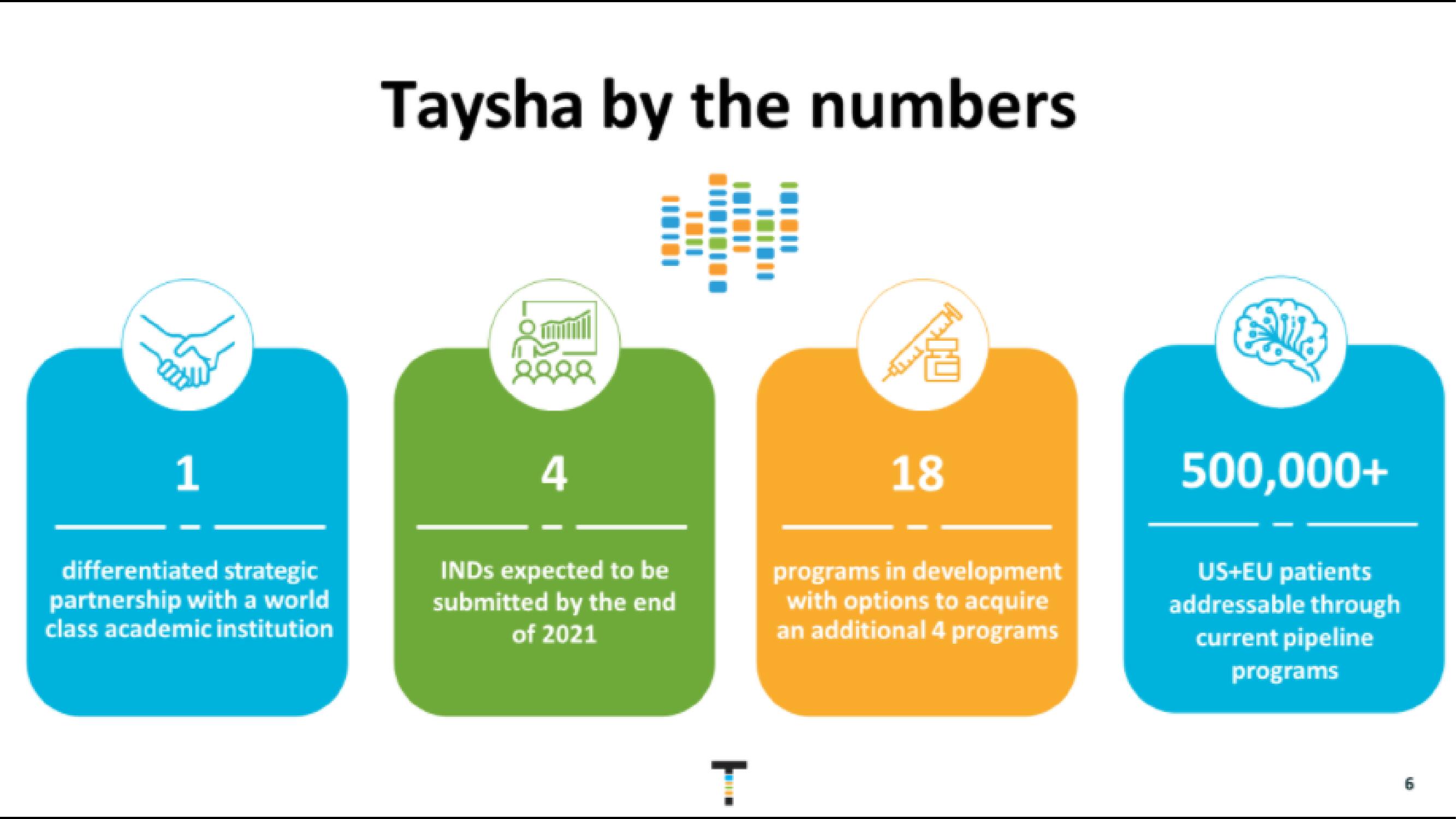 Taysha IPO Presentation Deck slide image #6