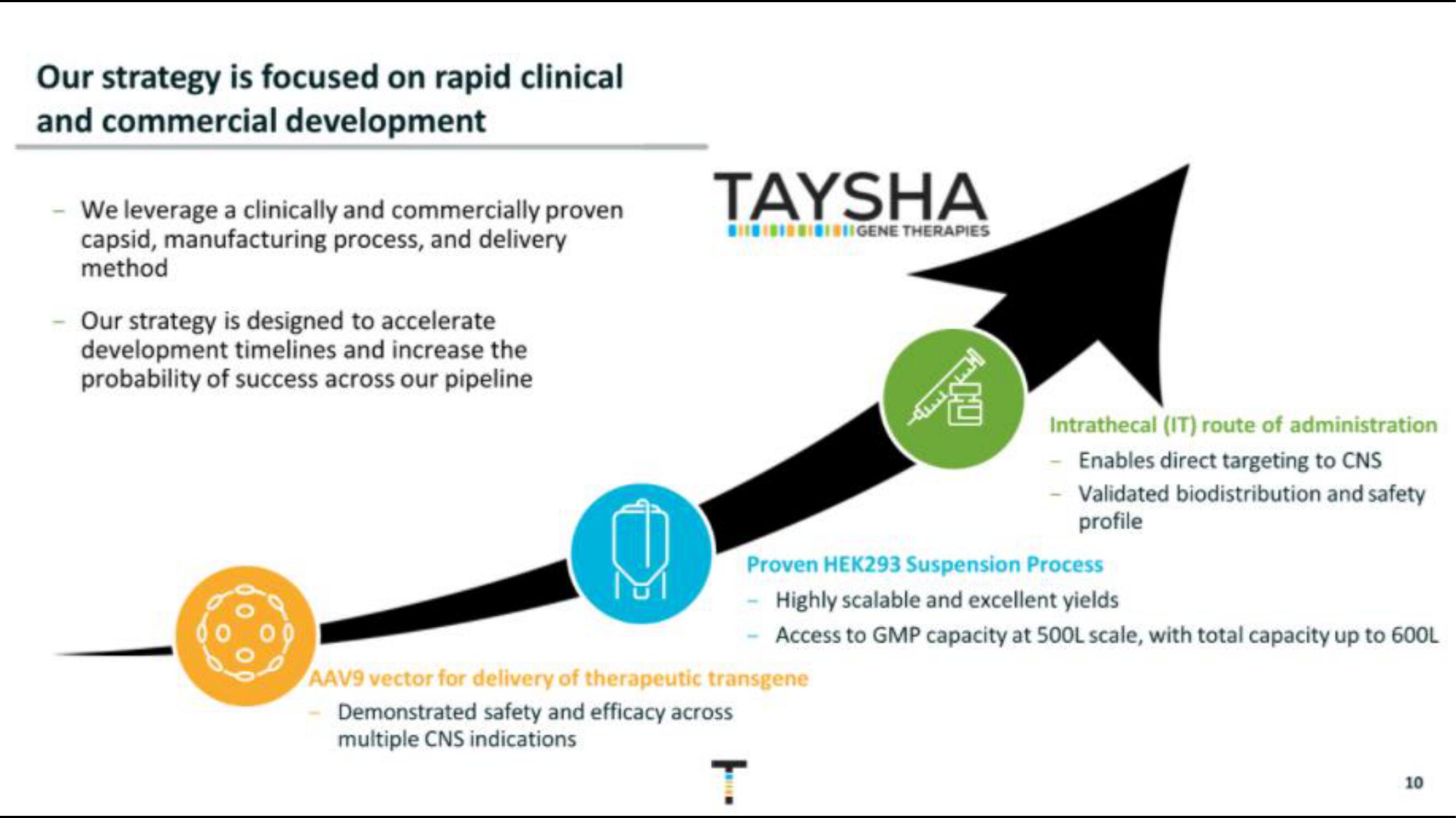 Taysha IPO Presentation Deck slide image #10