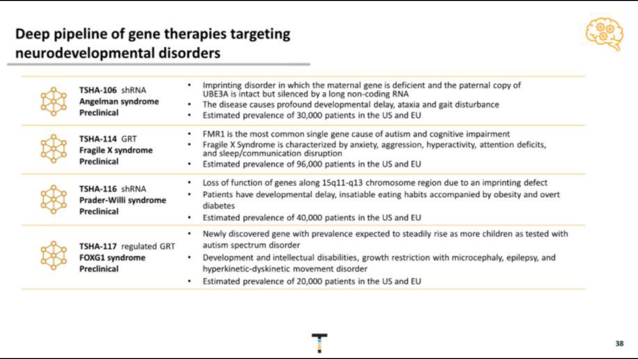 Taysha IPO Presentation Deck slide image #38