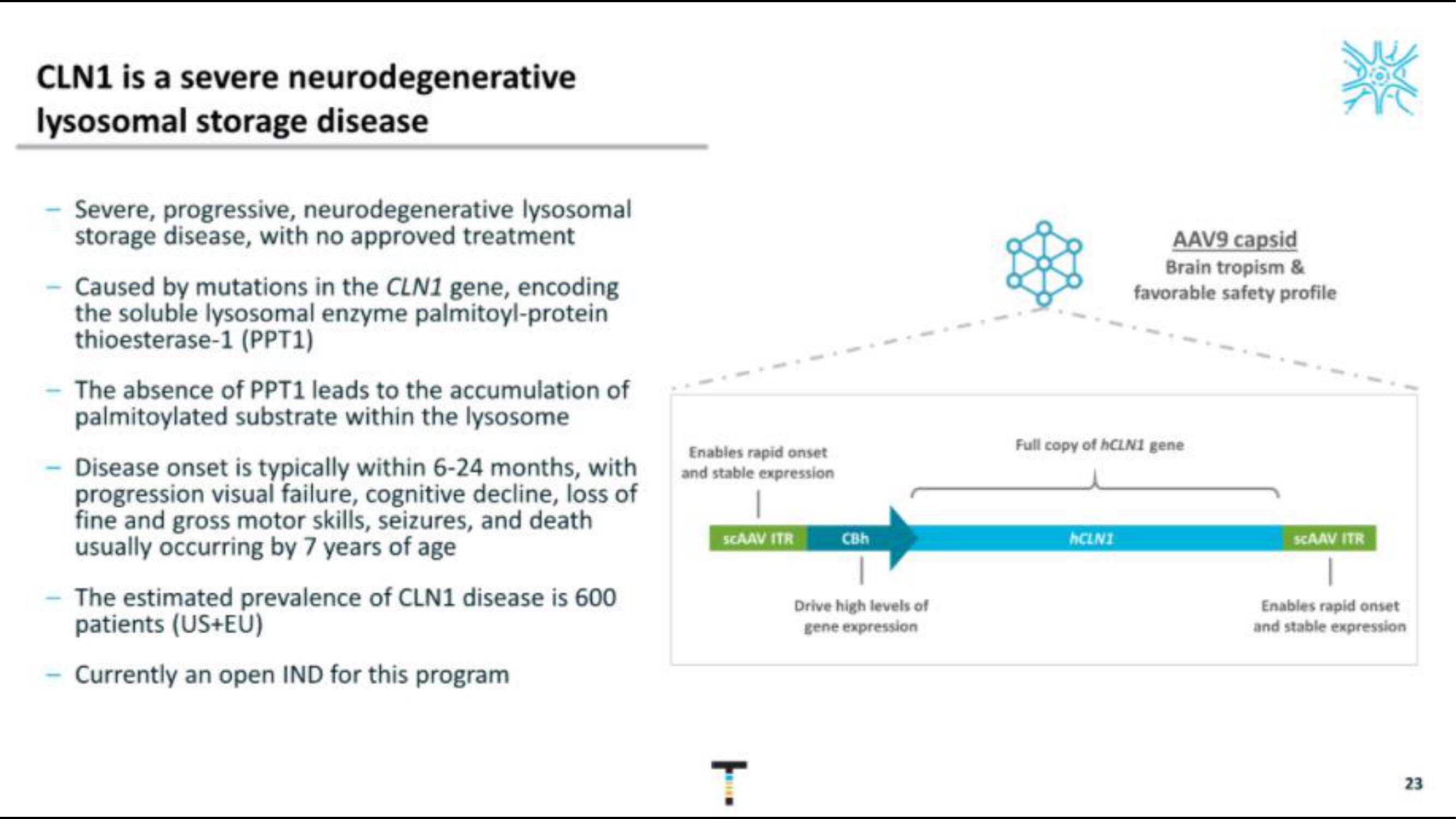 Taysha IPO Presentation Deck slide image #23