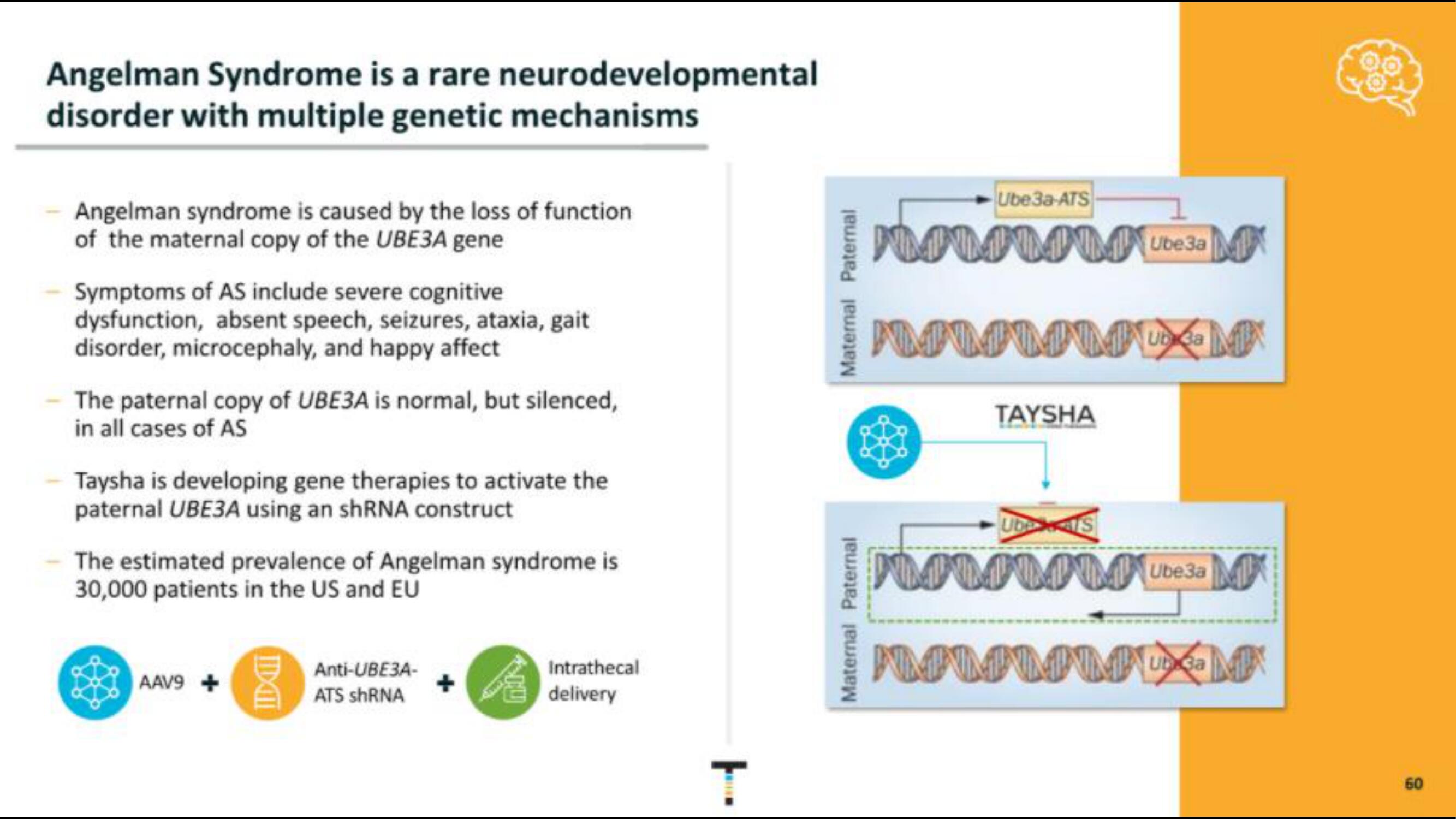 Taysha IPO Presentation Deck slide image #60