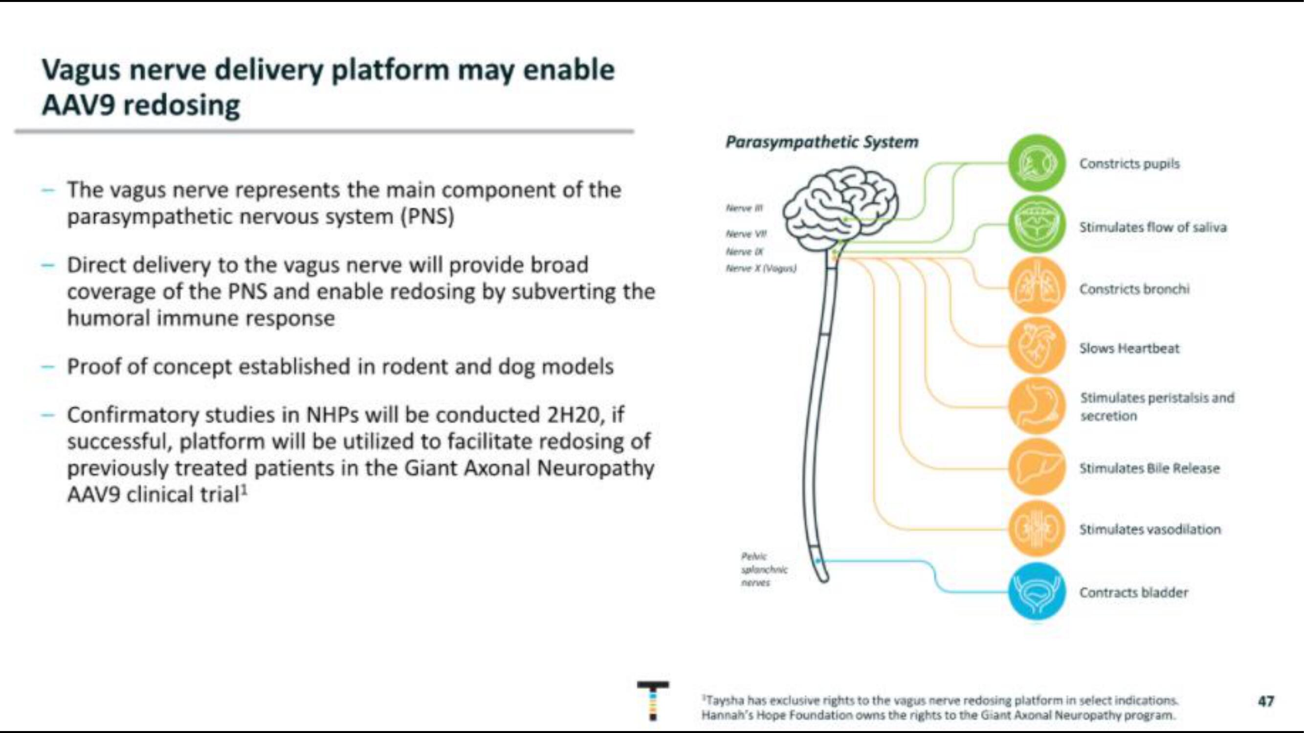 Taysha IPO Presentation Deck slide image #47