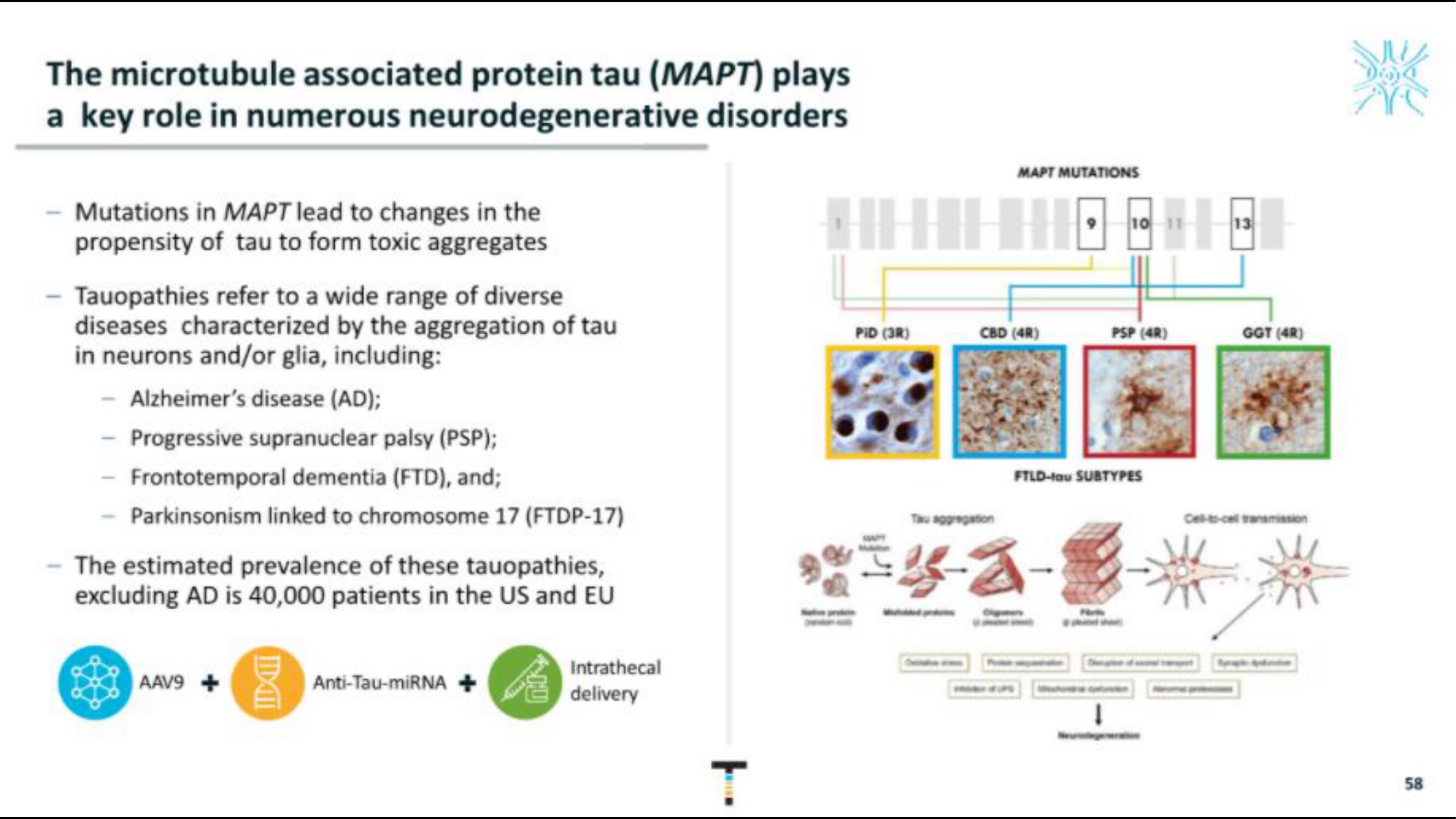 Taysha IPO Presentation Deck slide image #58