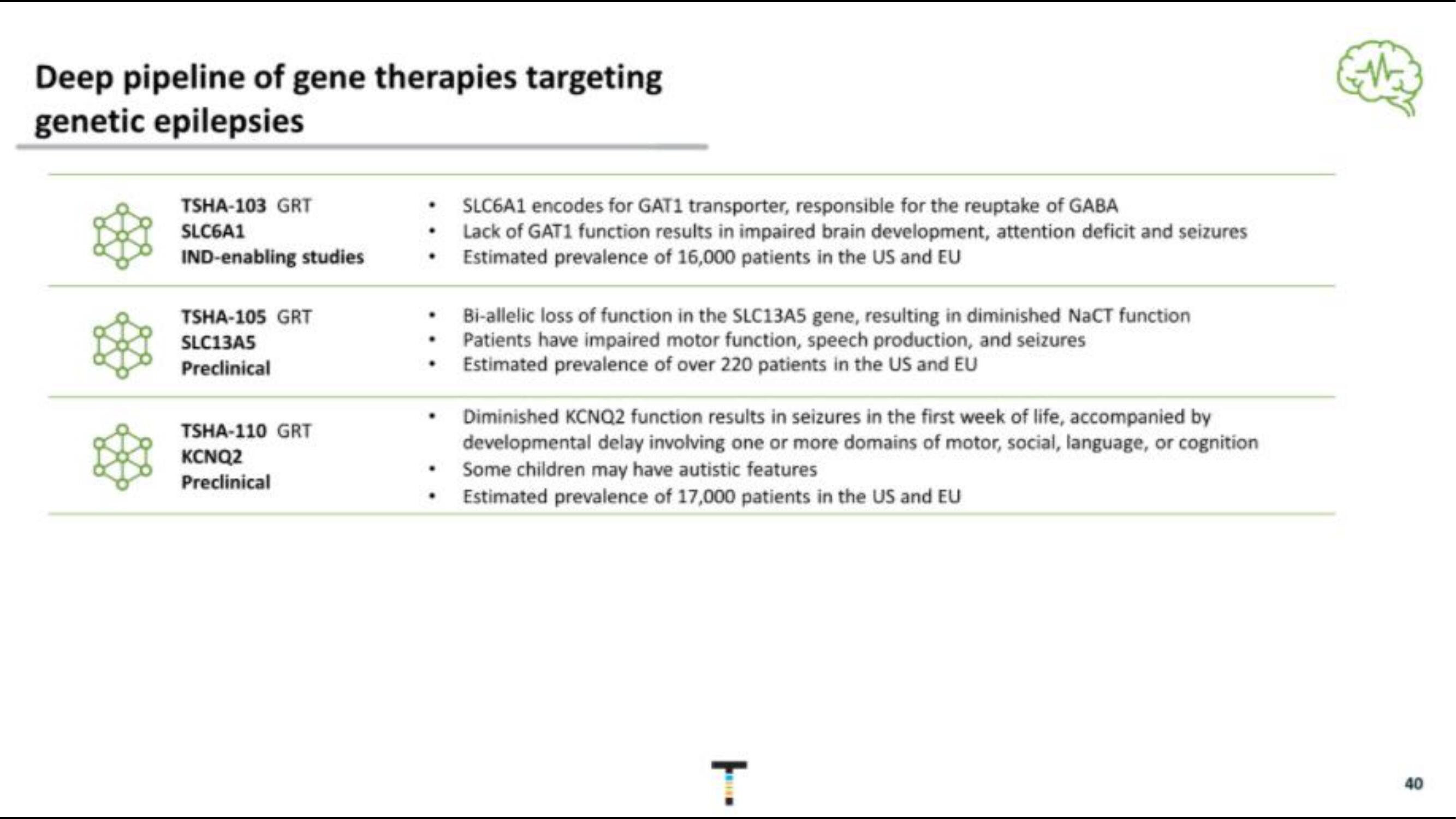 Taysha IPO Presentation Deck slide image #40